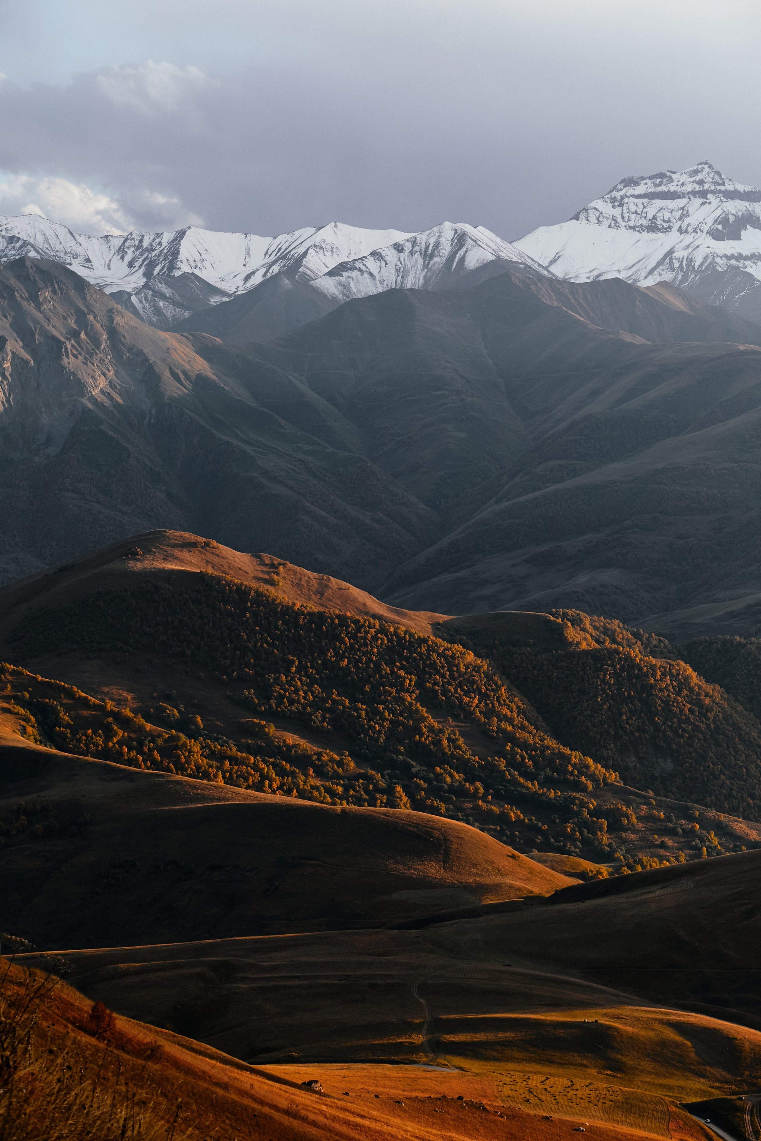 Лха 2500. Фотограф Продюсер в горах КБР / Москва  Нальчик Горы