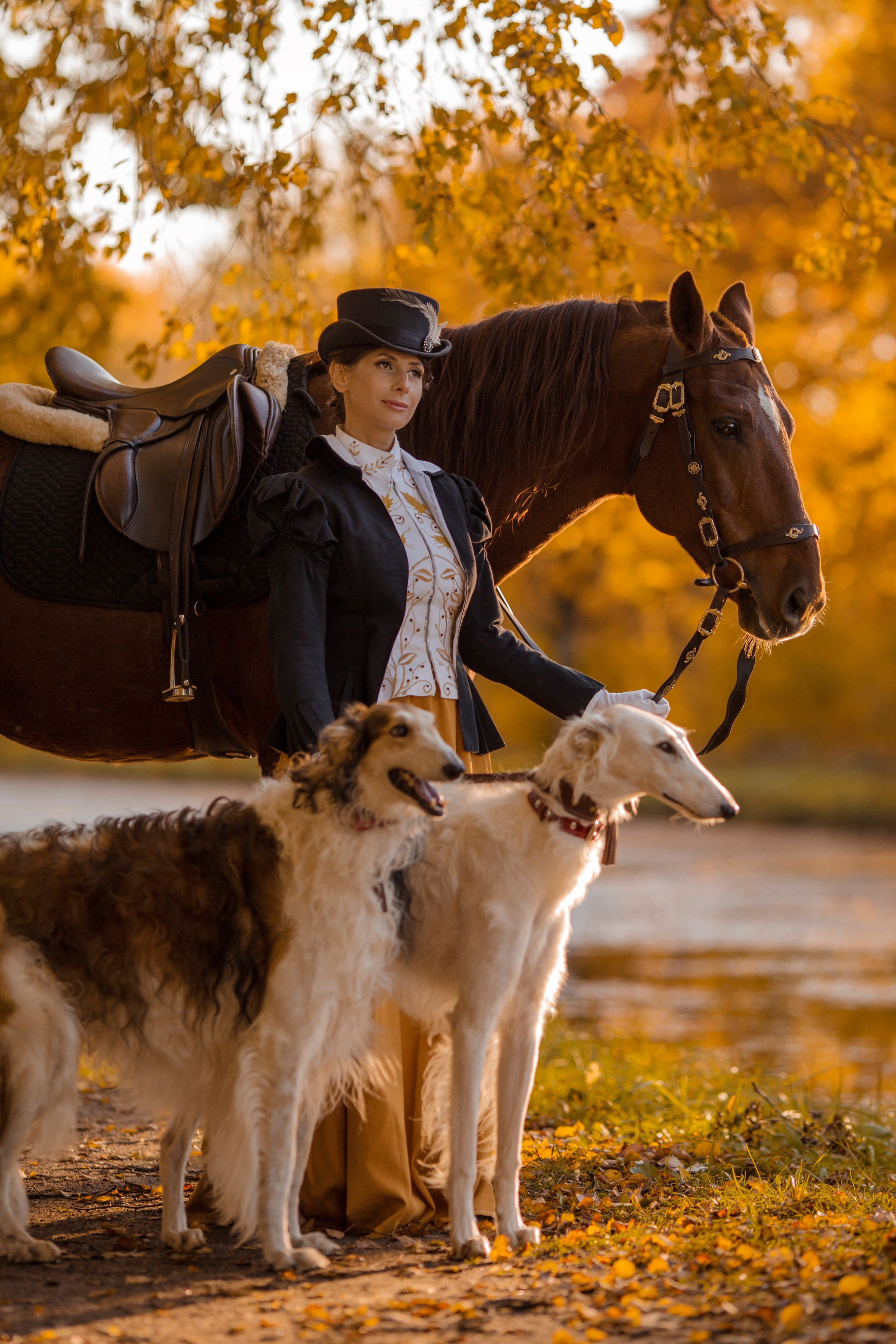 Фотосессия в историческом стиле с борзыми