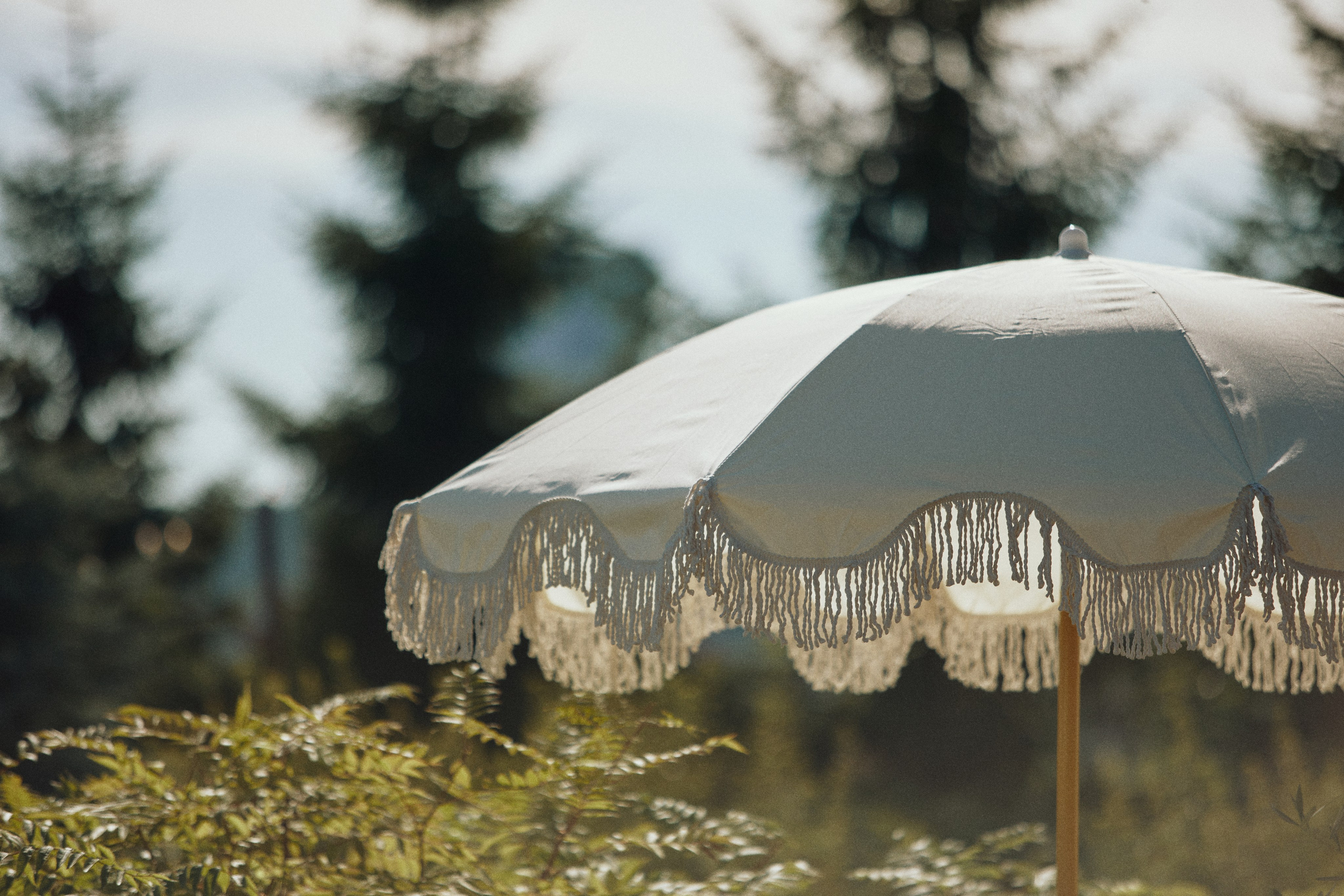 THE GRAND BUDAPEST. Дмитрий Мазуркевич: Профессиональный Репортажный Фотограф