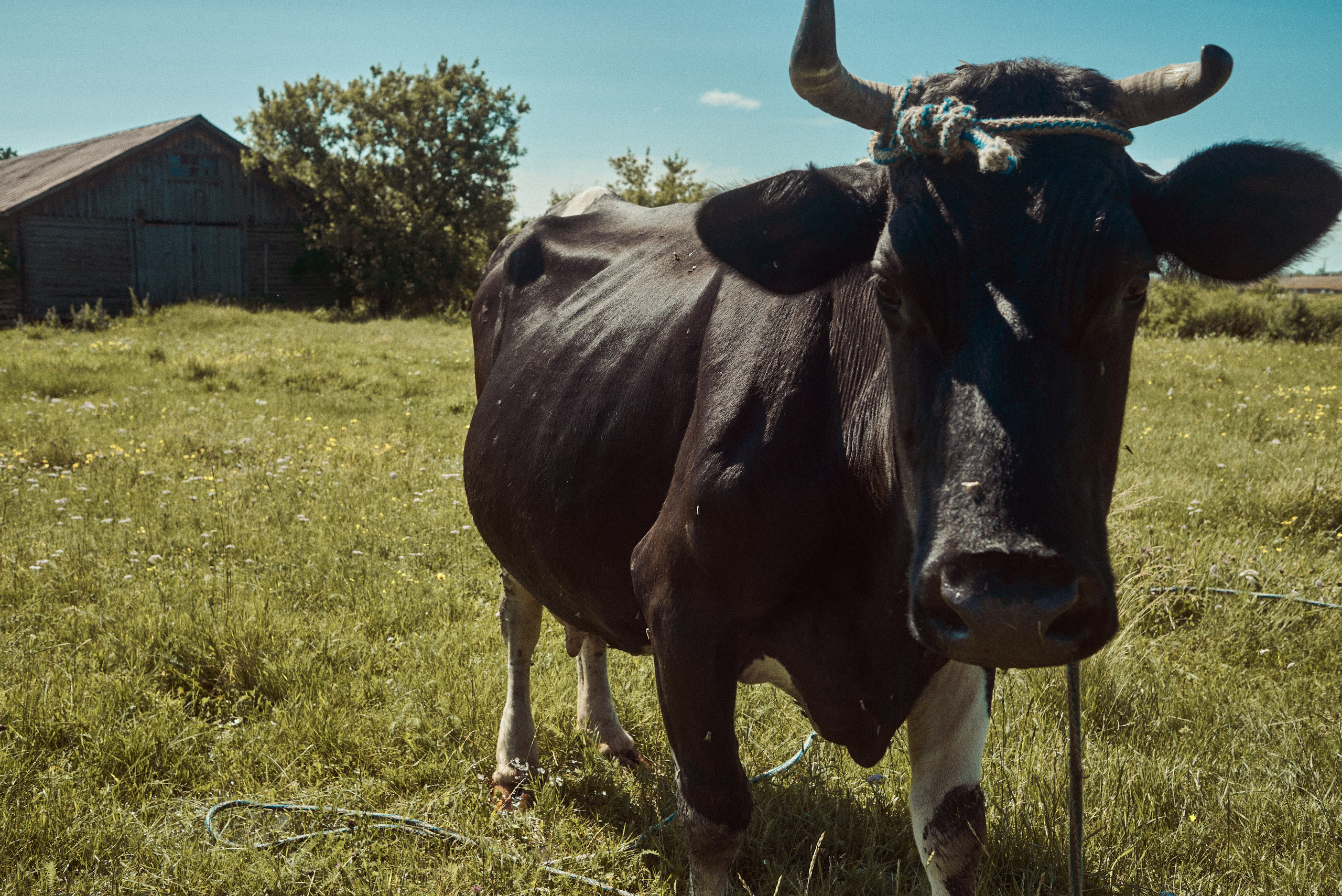 2024. Марфин. Фотограф