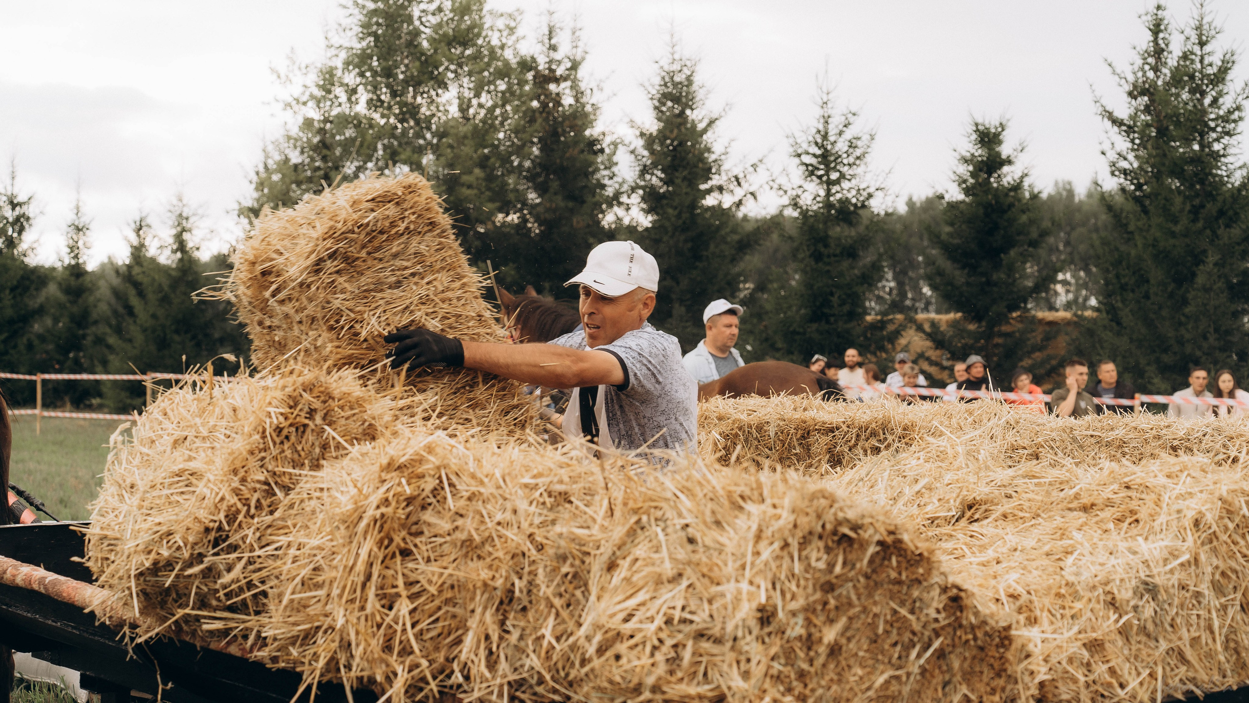 День Коня. Алиса Никитцова | Фотограф в Казани