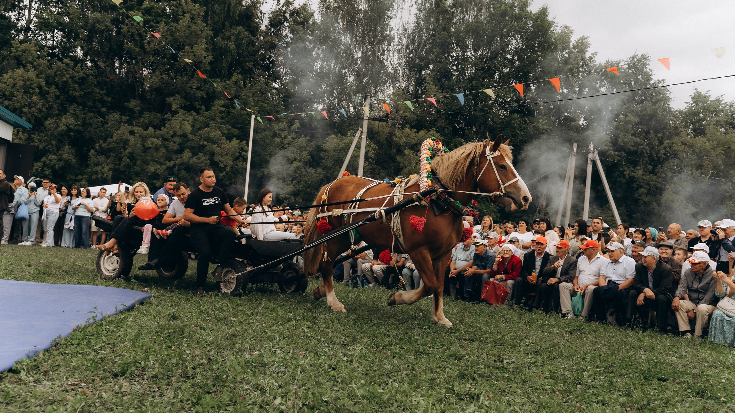 День Коня. Алиса Никитцова | Фотограф в Казани