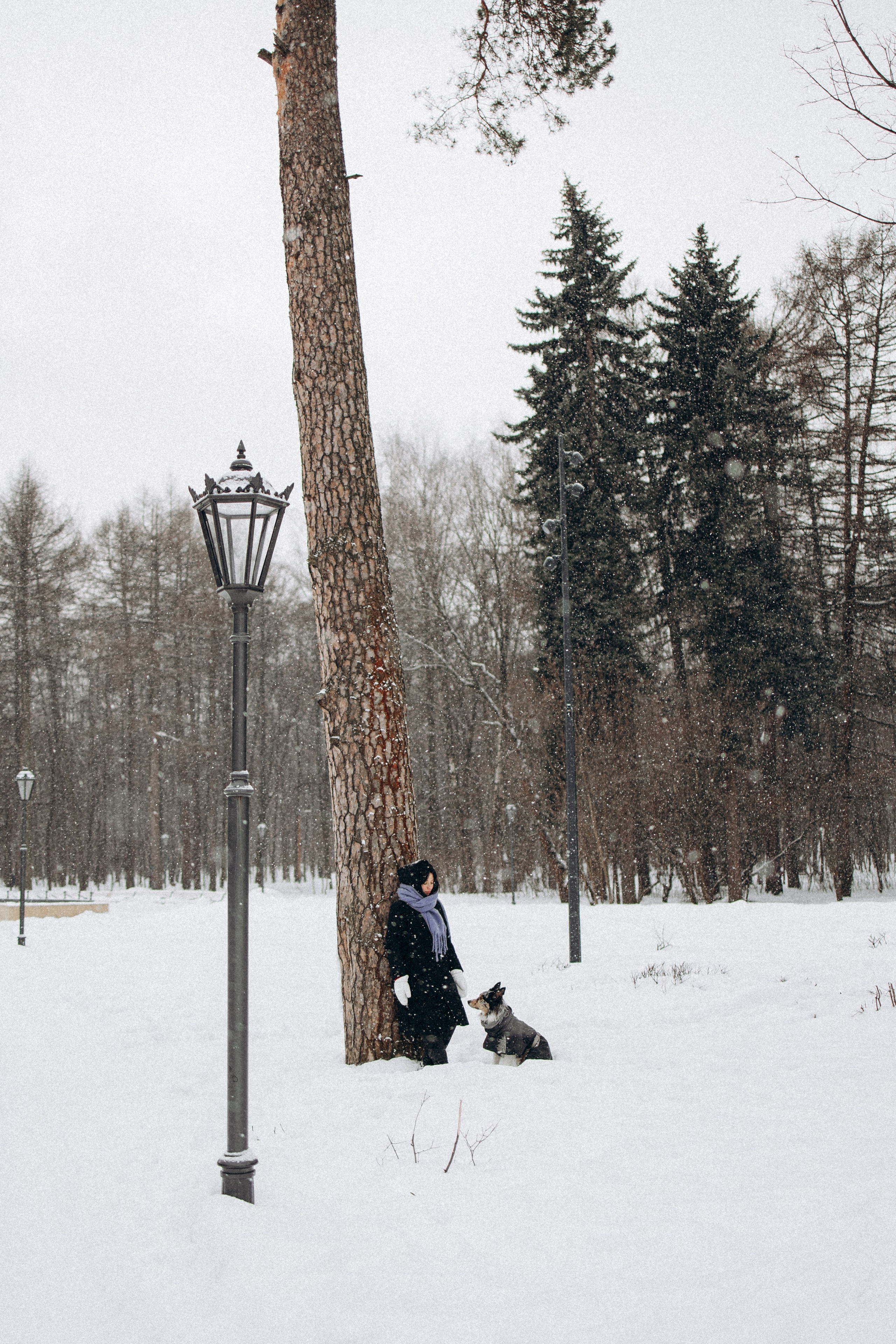 Настя и Тор. Фотораф — анималист Мария Шистка