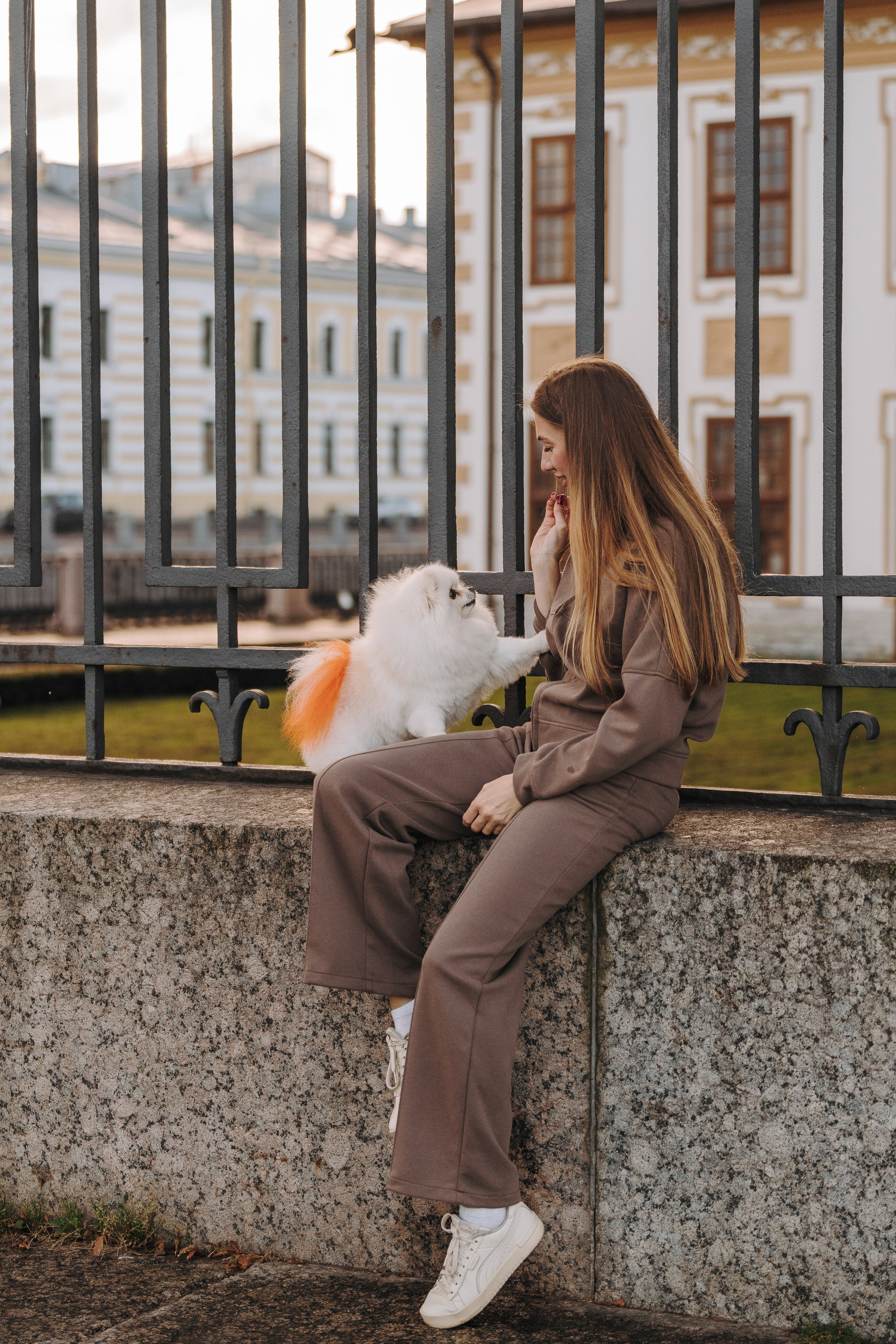 Фотосессия с померанским шпицем. Фотограф анималист в Спб недорого Олеся Майорова