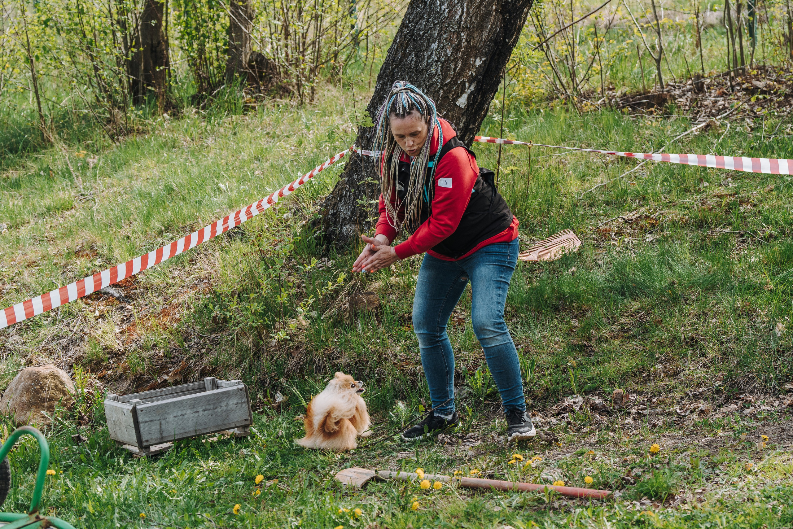 Соревнования по ноузворку в Лосево. Фотограф анималист в Спб недорого Олеся Майорова