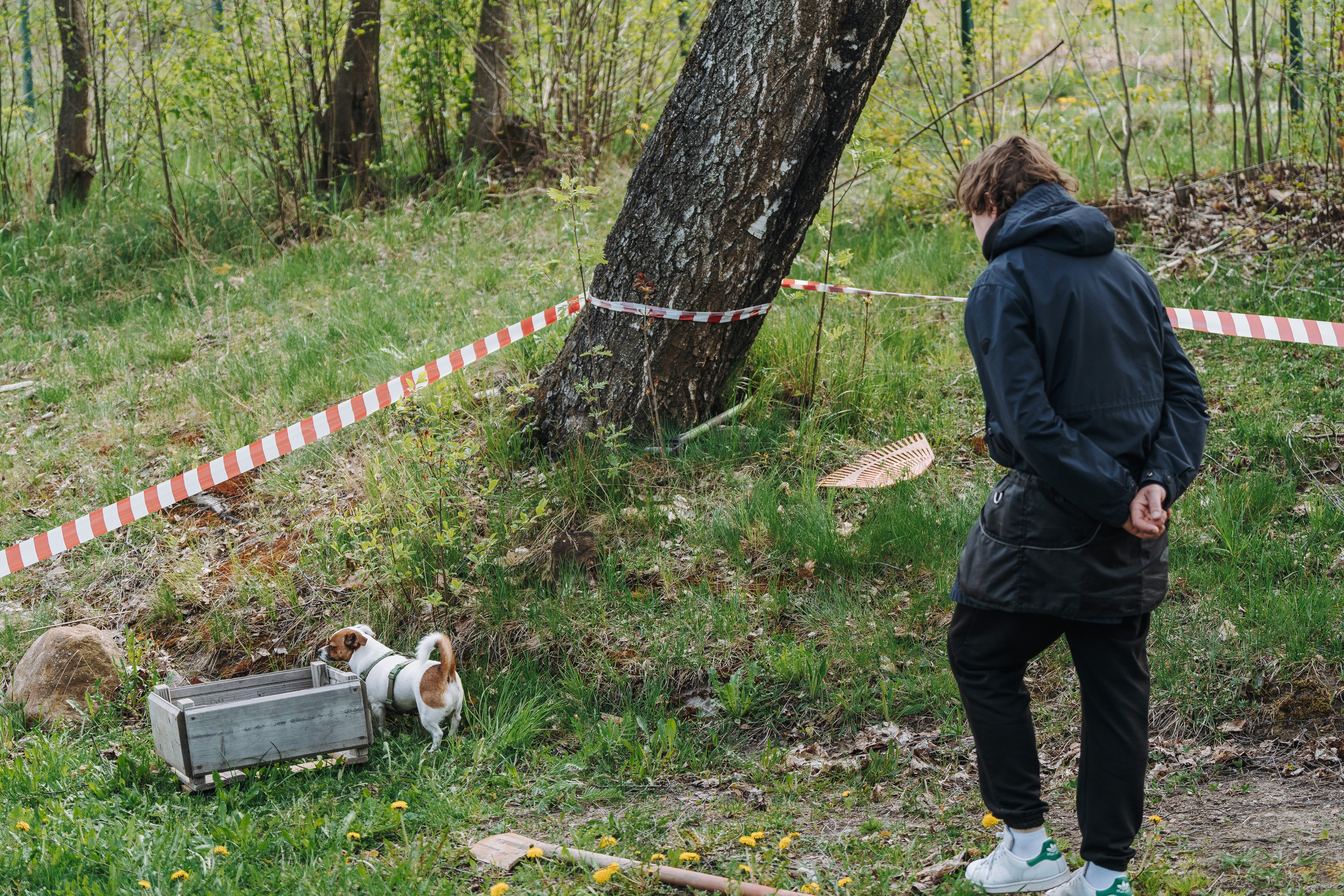 Соревнования по ноузворку в Лосево. Фотограф анималист в Спб недорого Олеся Майорова