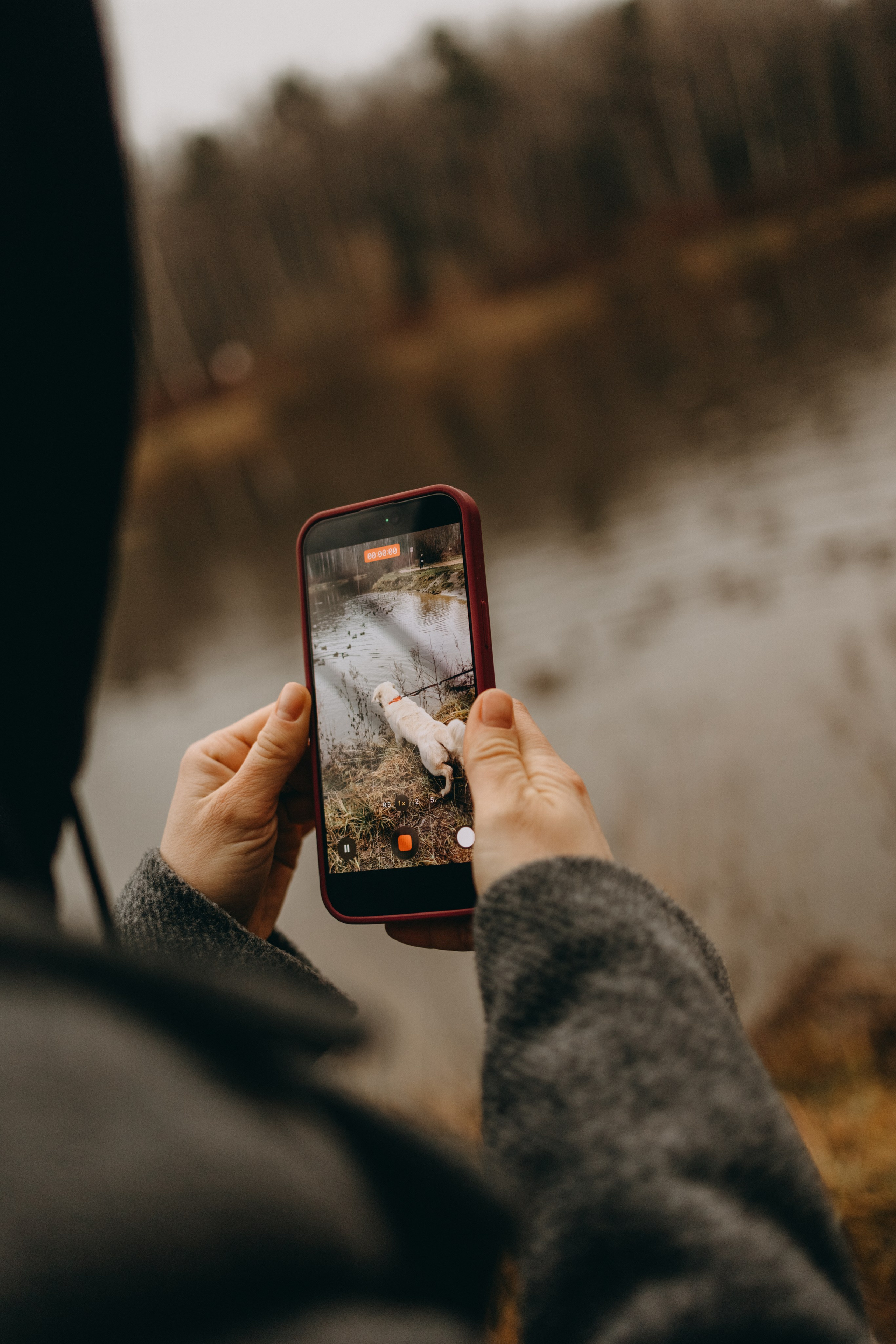 Лаки и его семья. Фотограф — Анималист | Санкт-Петербург