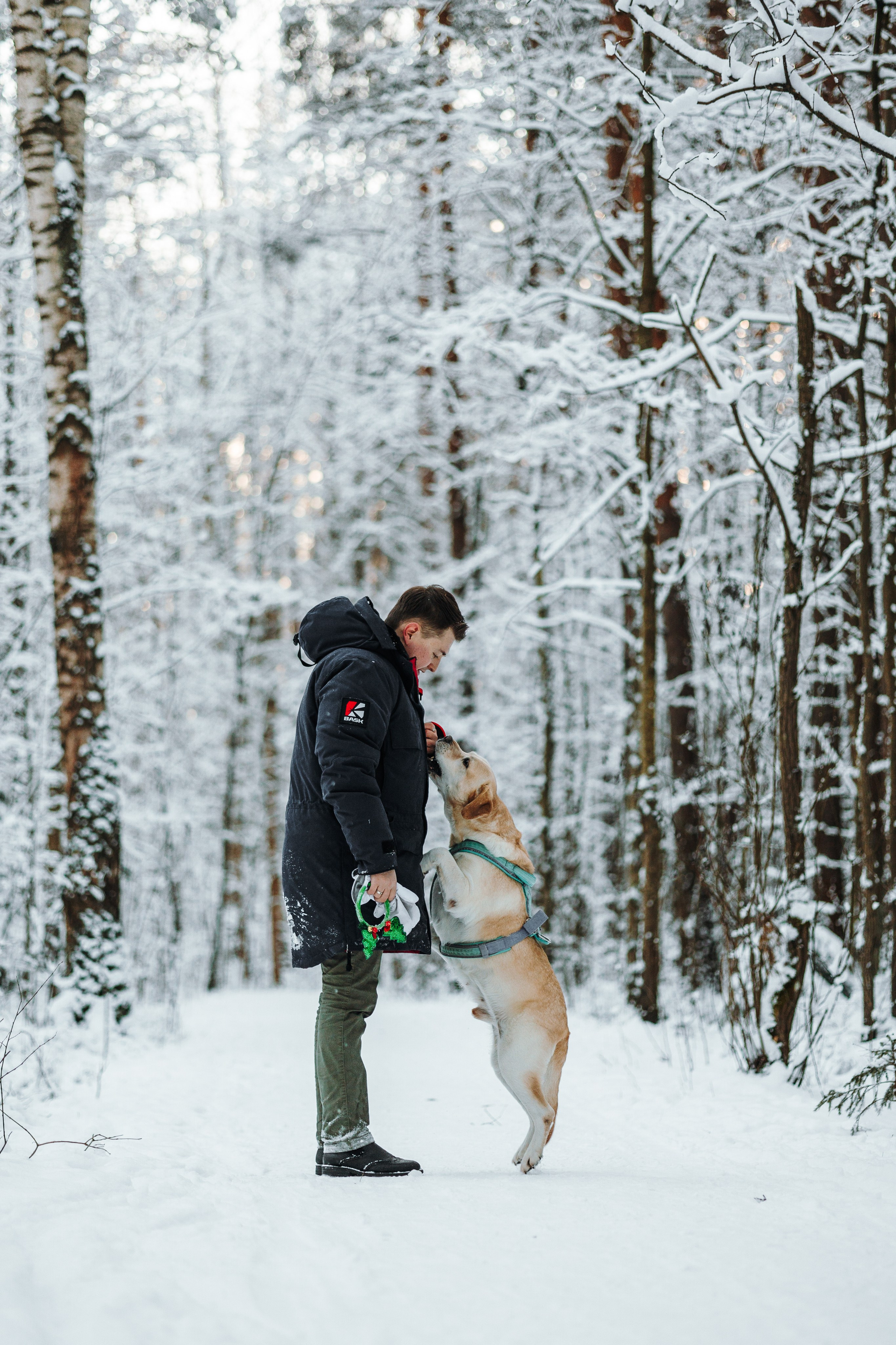 Ребята и их хвостатая семейка. Фотограф — Анималист | Санкт-Петербург