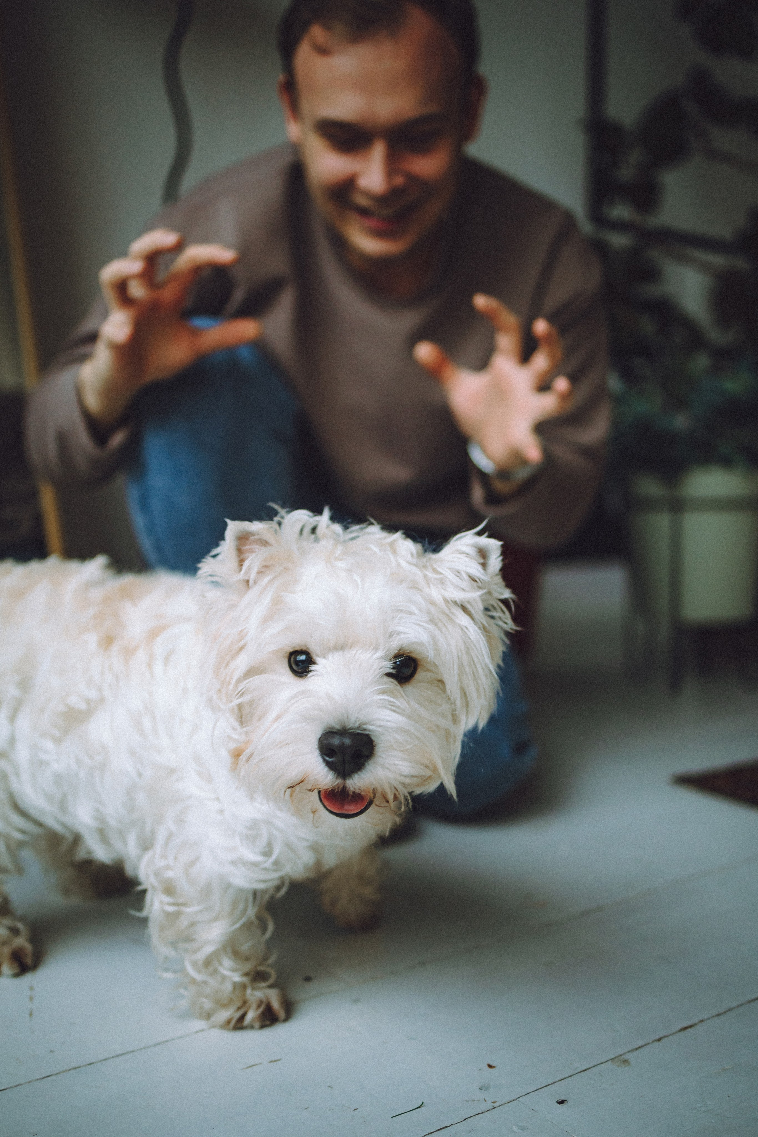Вика, Глеб и Тори