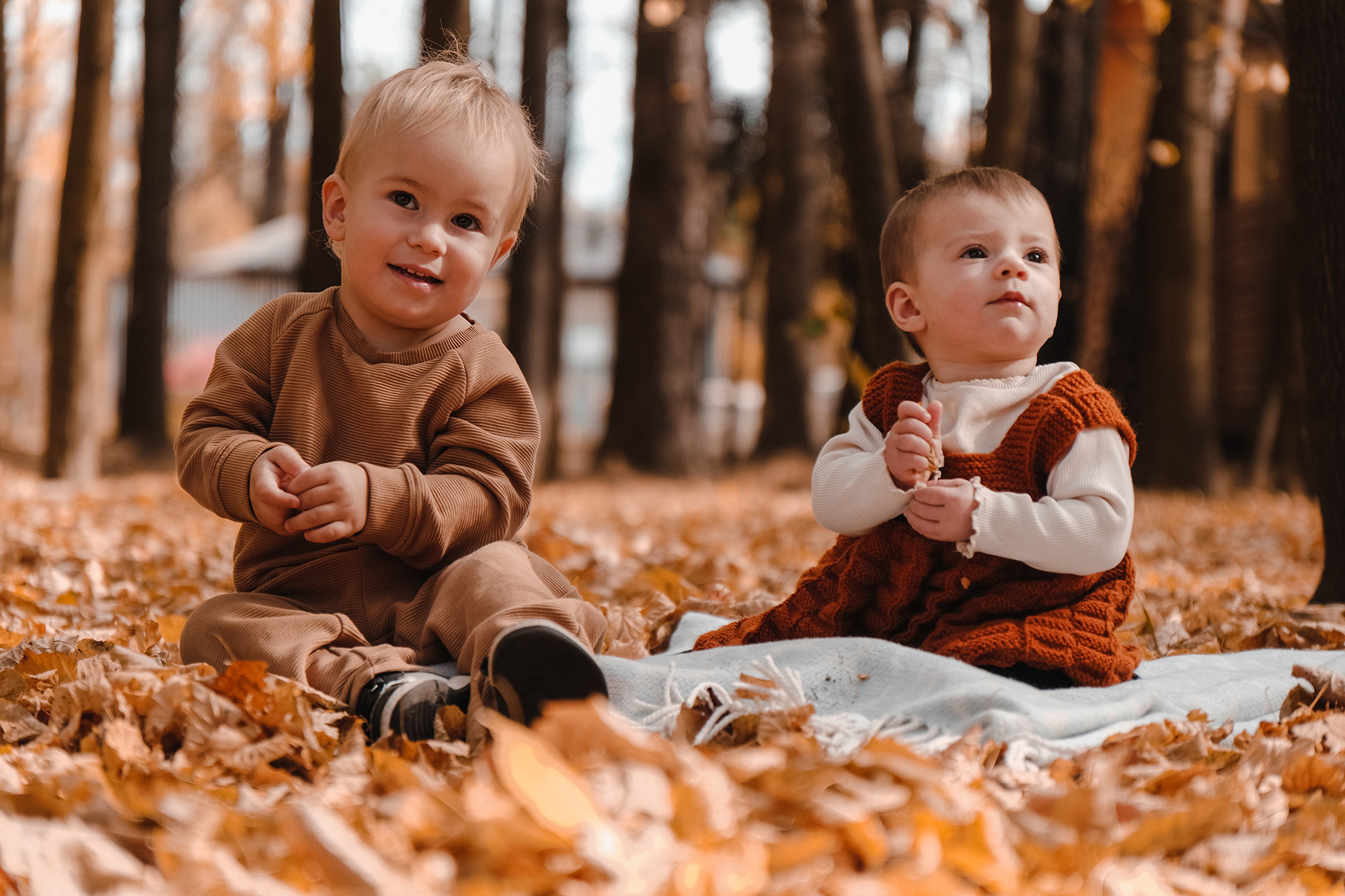 Осень. Фотограф и видеограф в Москве и МО — Евгений Лавров