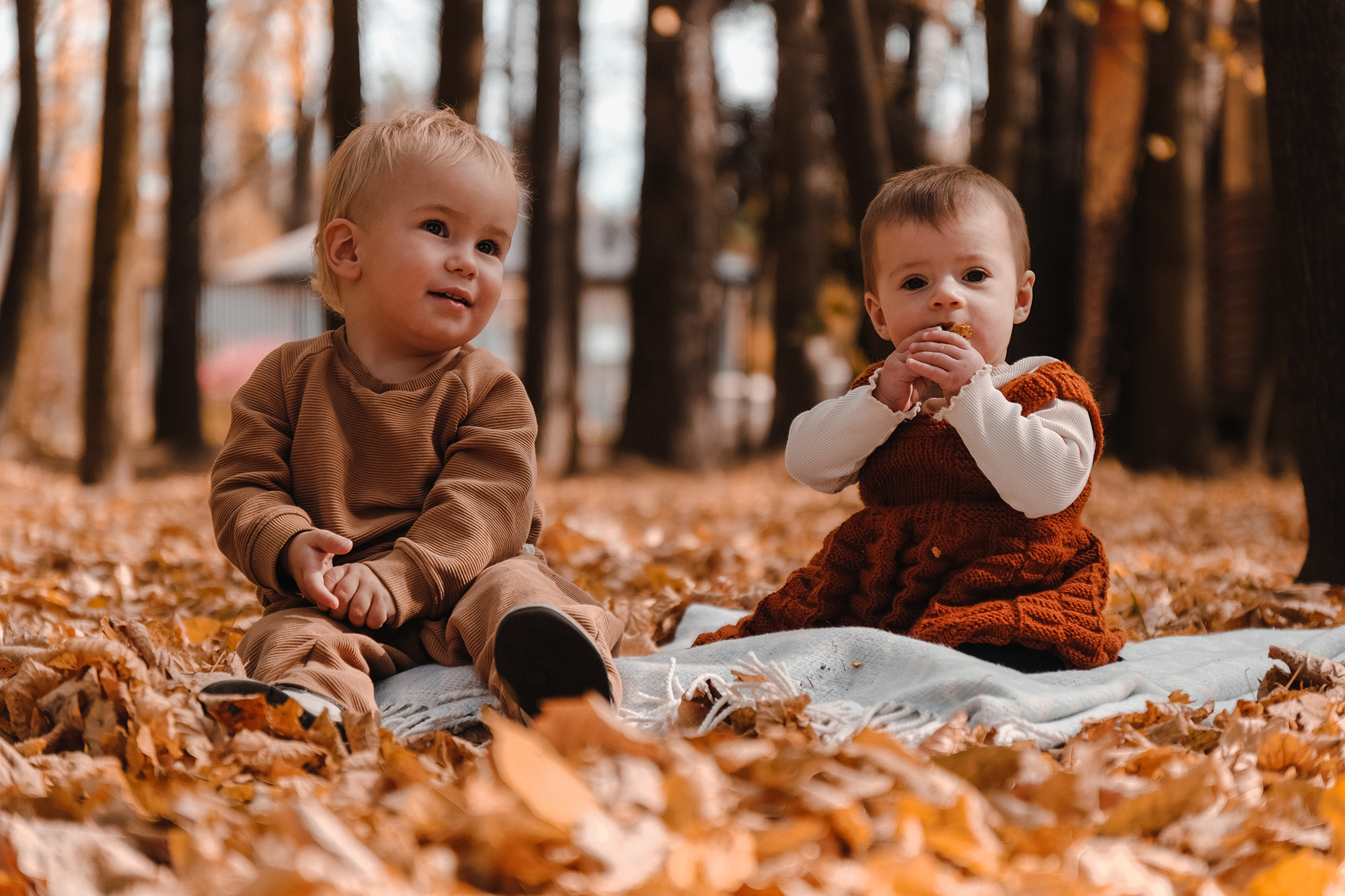 Осень. Фотограф и видеограф в Москве и МО — Евгений Лавров