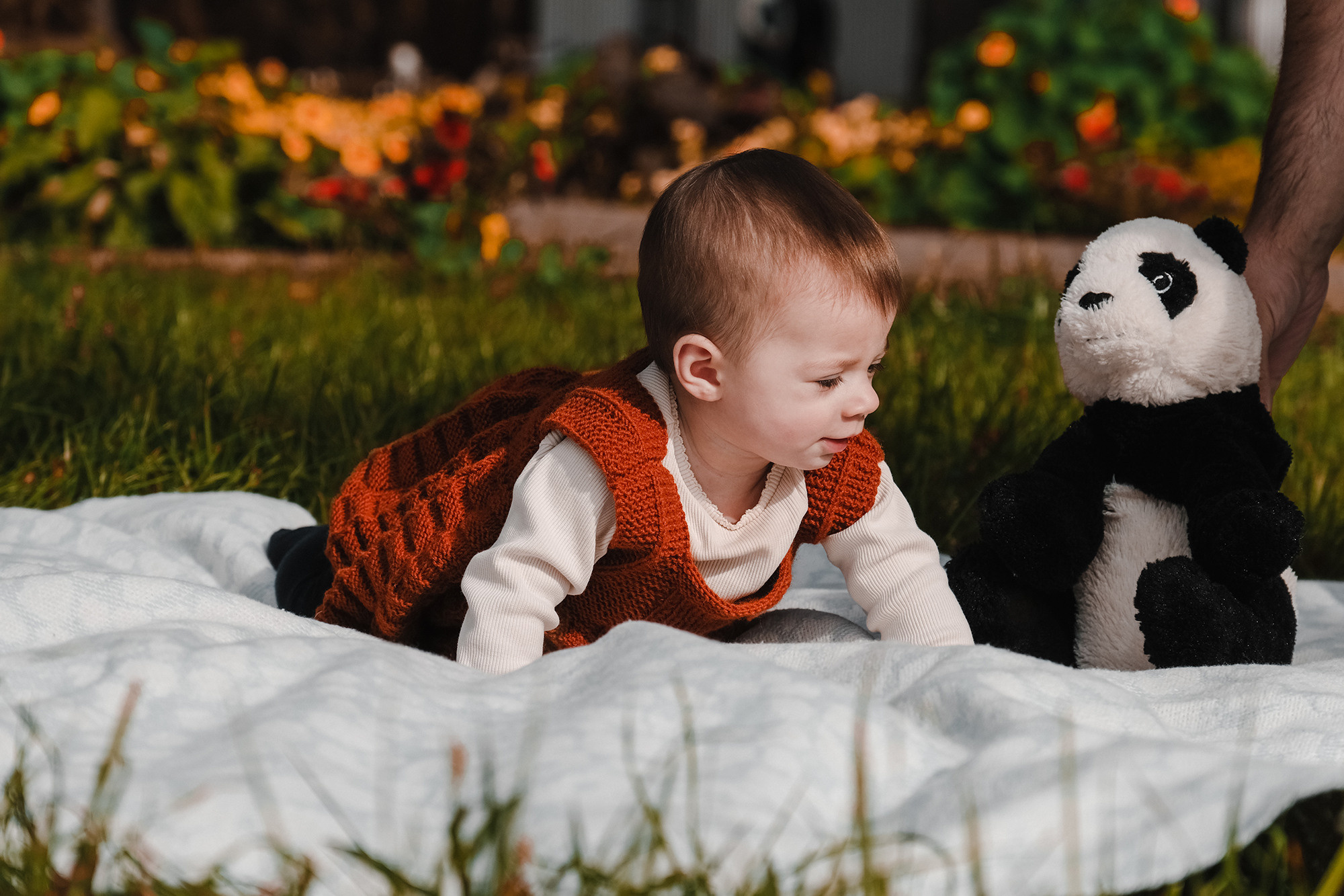 Осень. Фотограф и видеограф в Москве и МО — Евгений Лавров