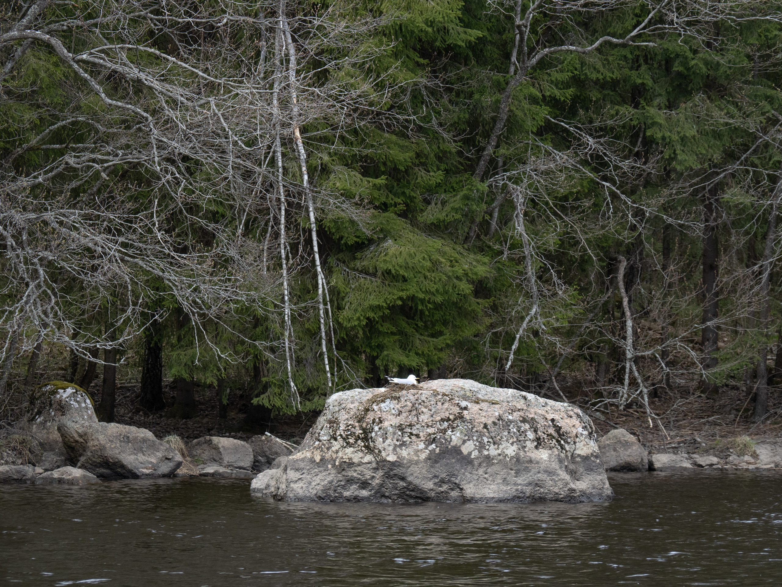 Кронштадт-Сортавала-Валаам-Выборг. Творческие сьемки