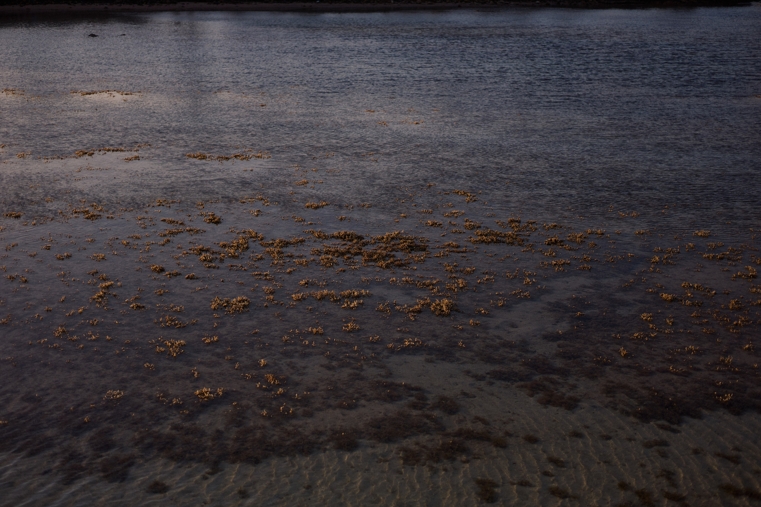 Улица горизонтальная. Jorgis — фотограф в Хургаде / обучение фотографии