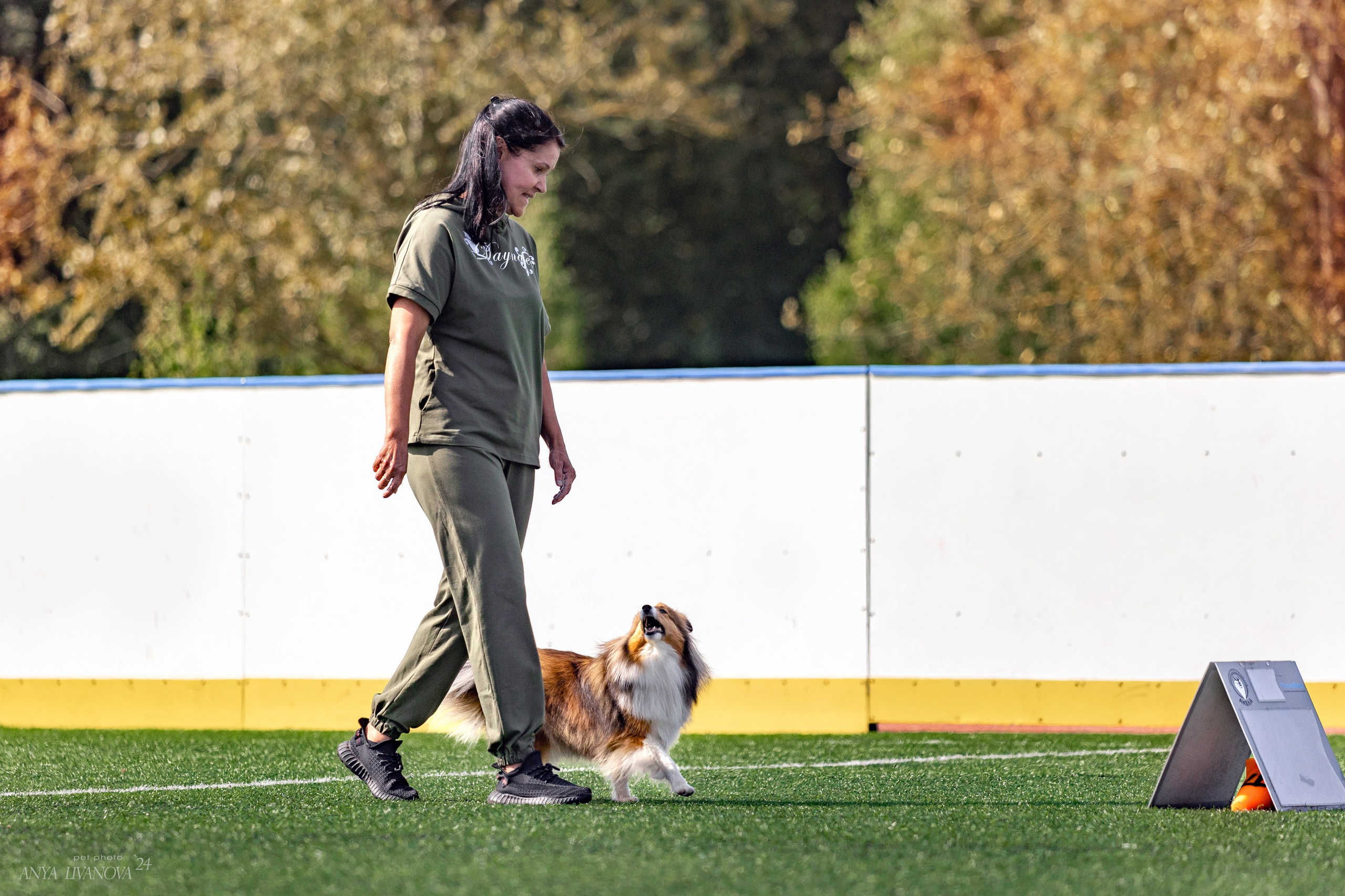 Ралли обидиенс. Фотограф анималист Аня Ливанова | Рыбинск