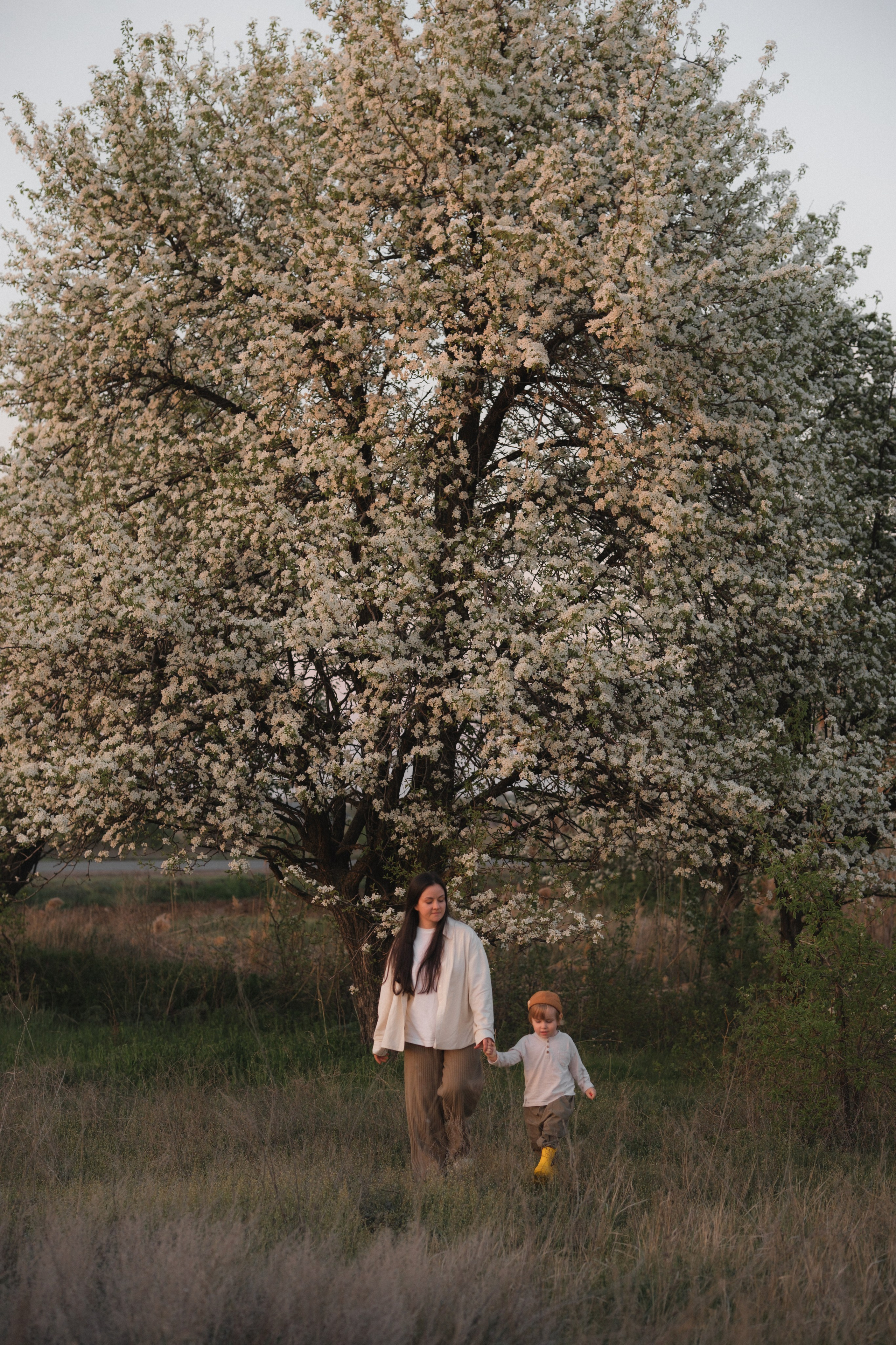 Катя, Глеб и Буч. Свадебный и семейный фотограф в Волгограде