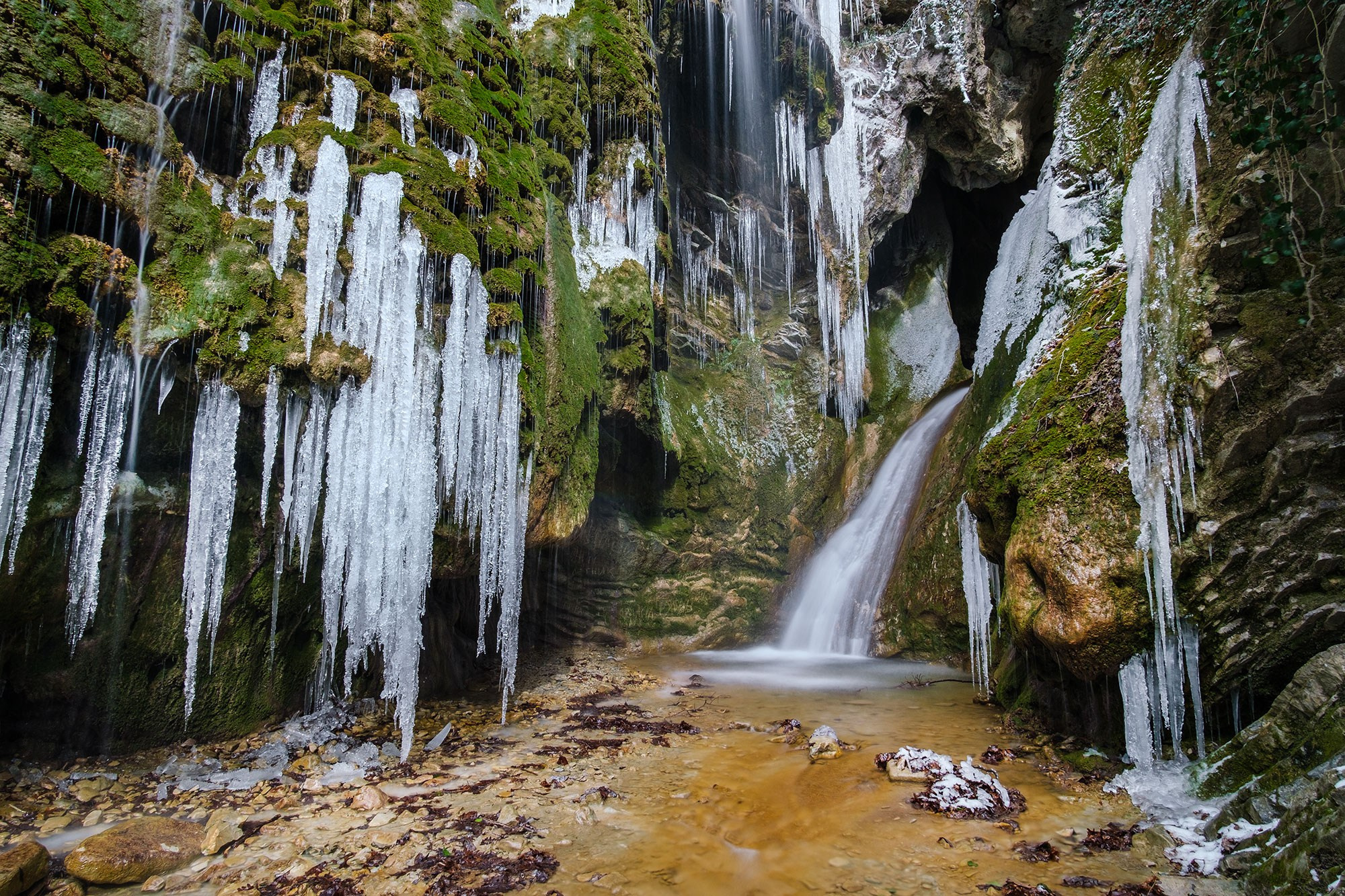 Природа — разное