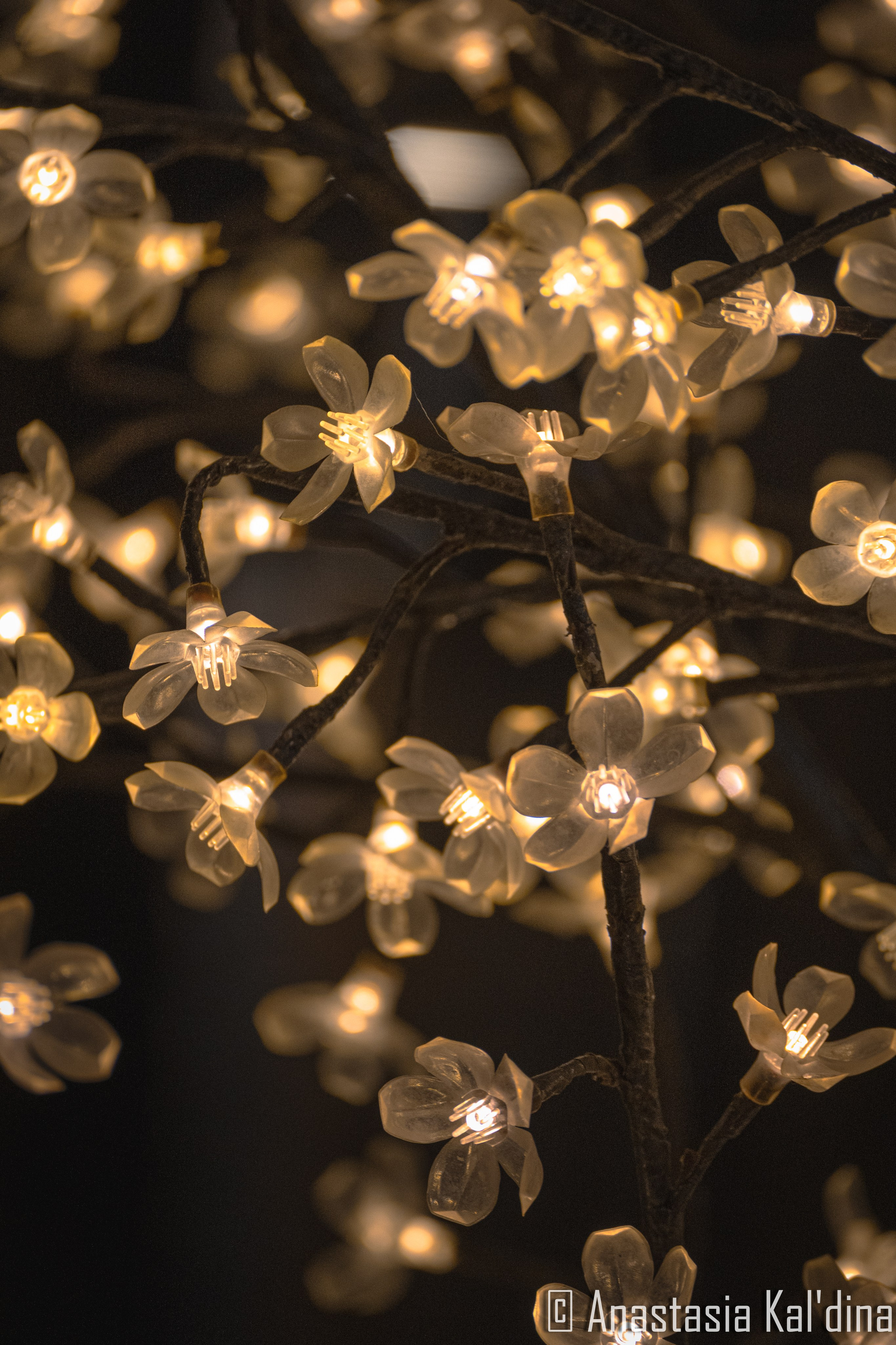 Предметная съёмка. Фотограф в Волгограде и Волжском Анастасия Кальдина