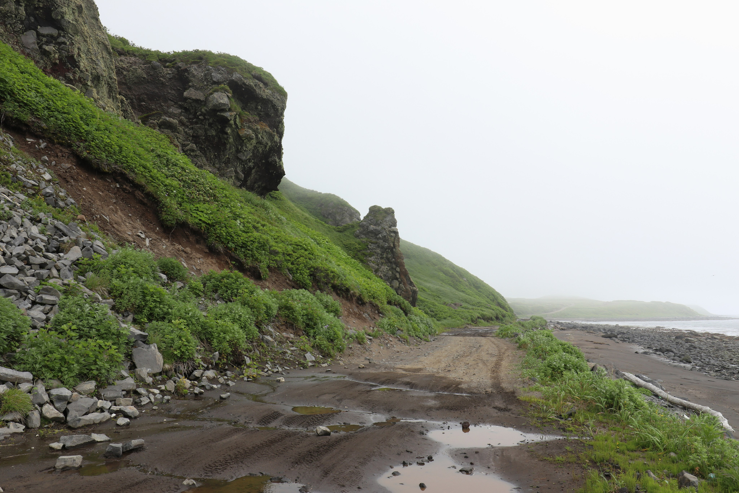 Камчатка и о. Парамушир. Июль 2024. Путешественник-фотограф из Санкт-Петербурга Татьяна Свистулина