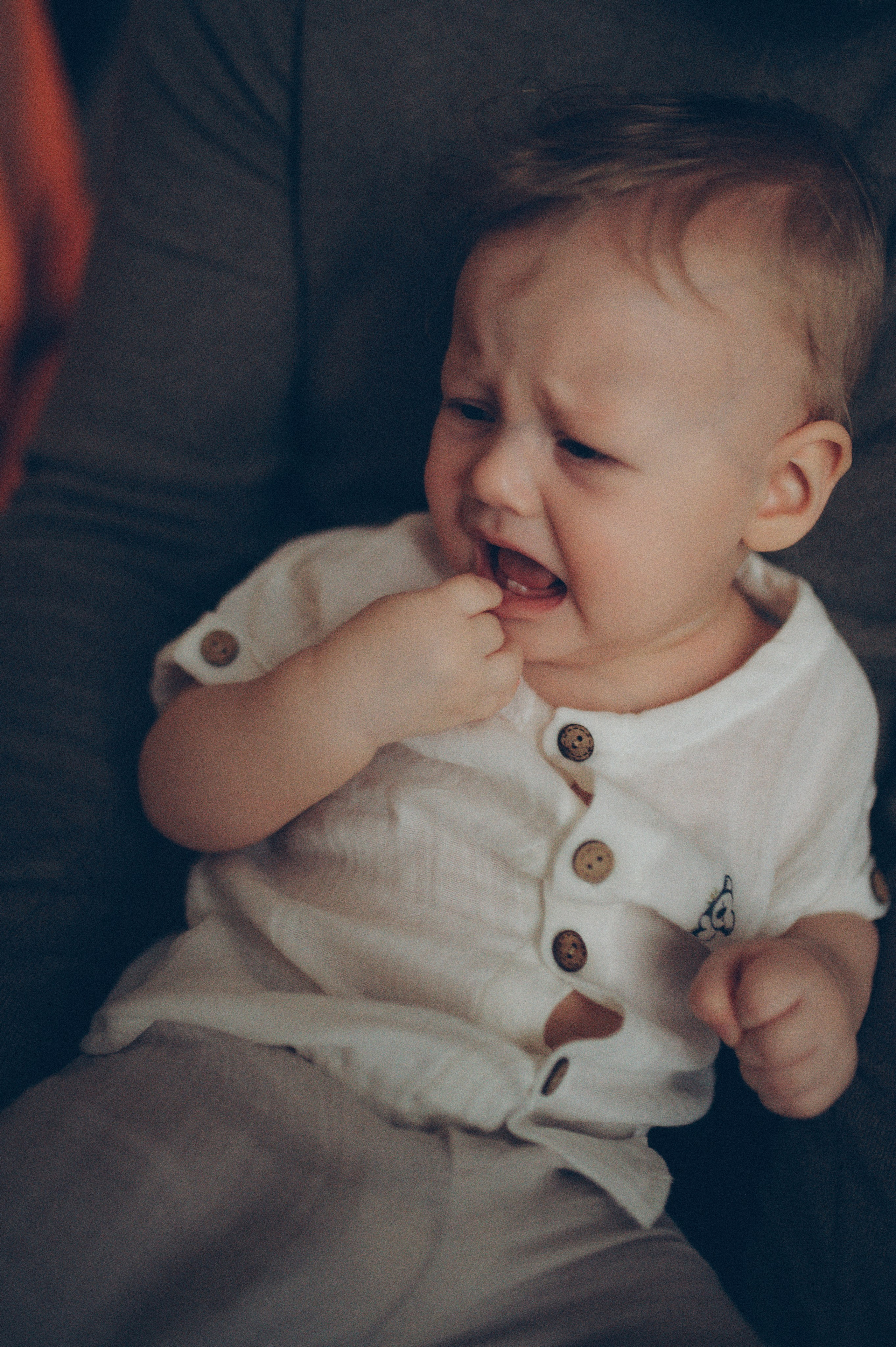 Лева, Жанна и Владимир (новогодняя домашняя). Фотограф, г. Лесной Свердловской области
