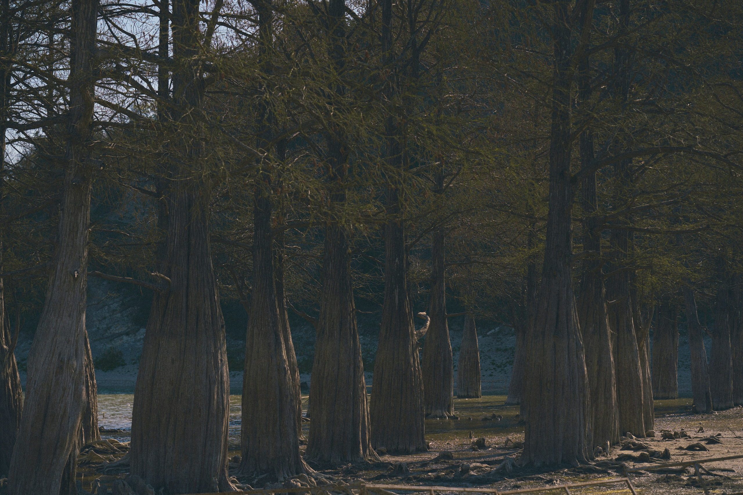 Krasnodar. Гасанова Алина|Фотограф в Санкт-Петербурге