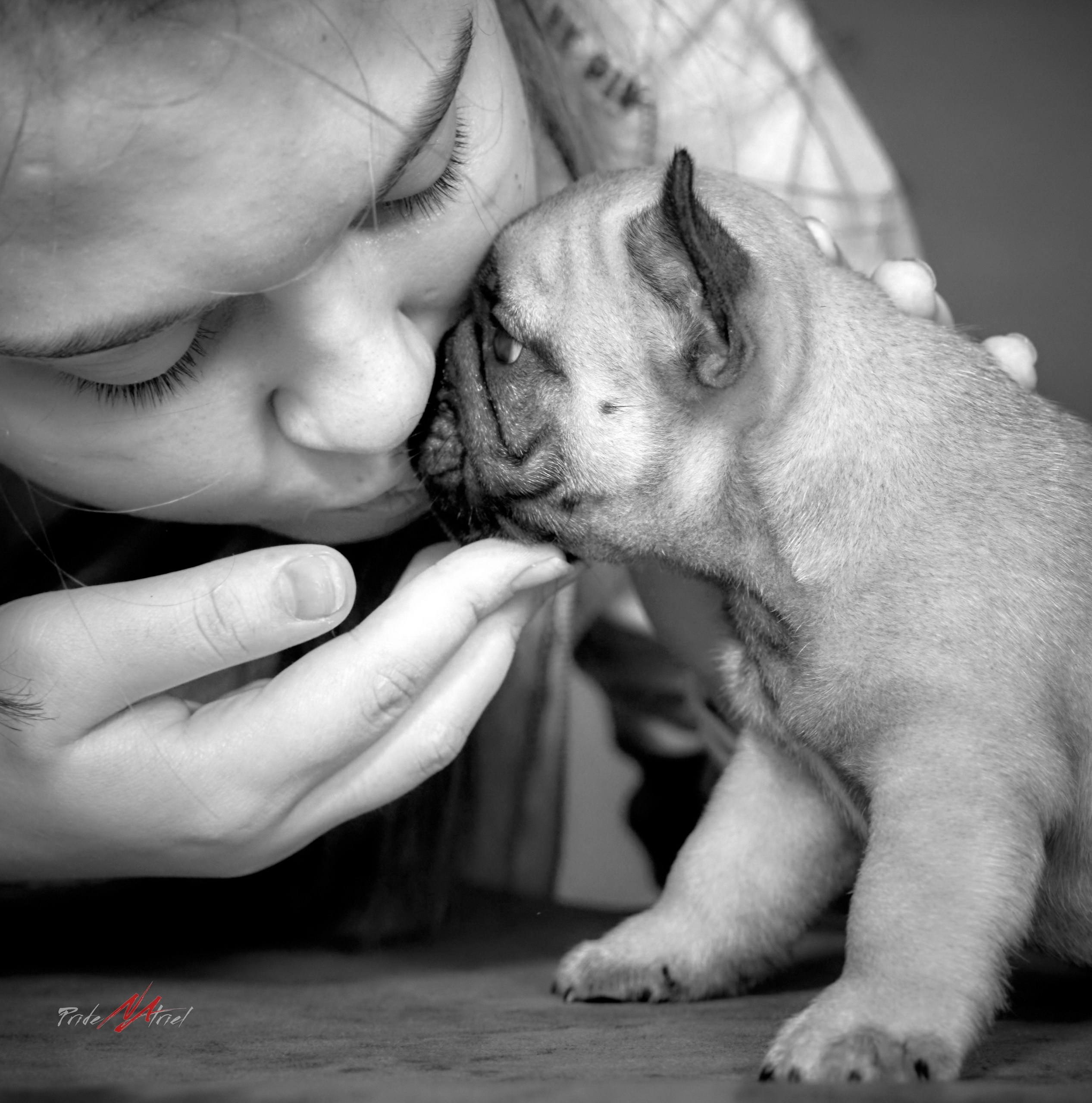 Щенки с людьми — галерея NATRIEL