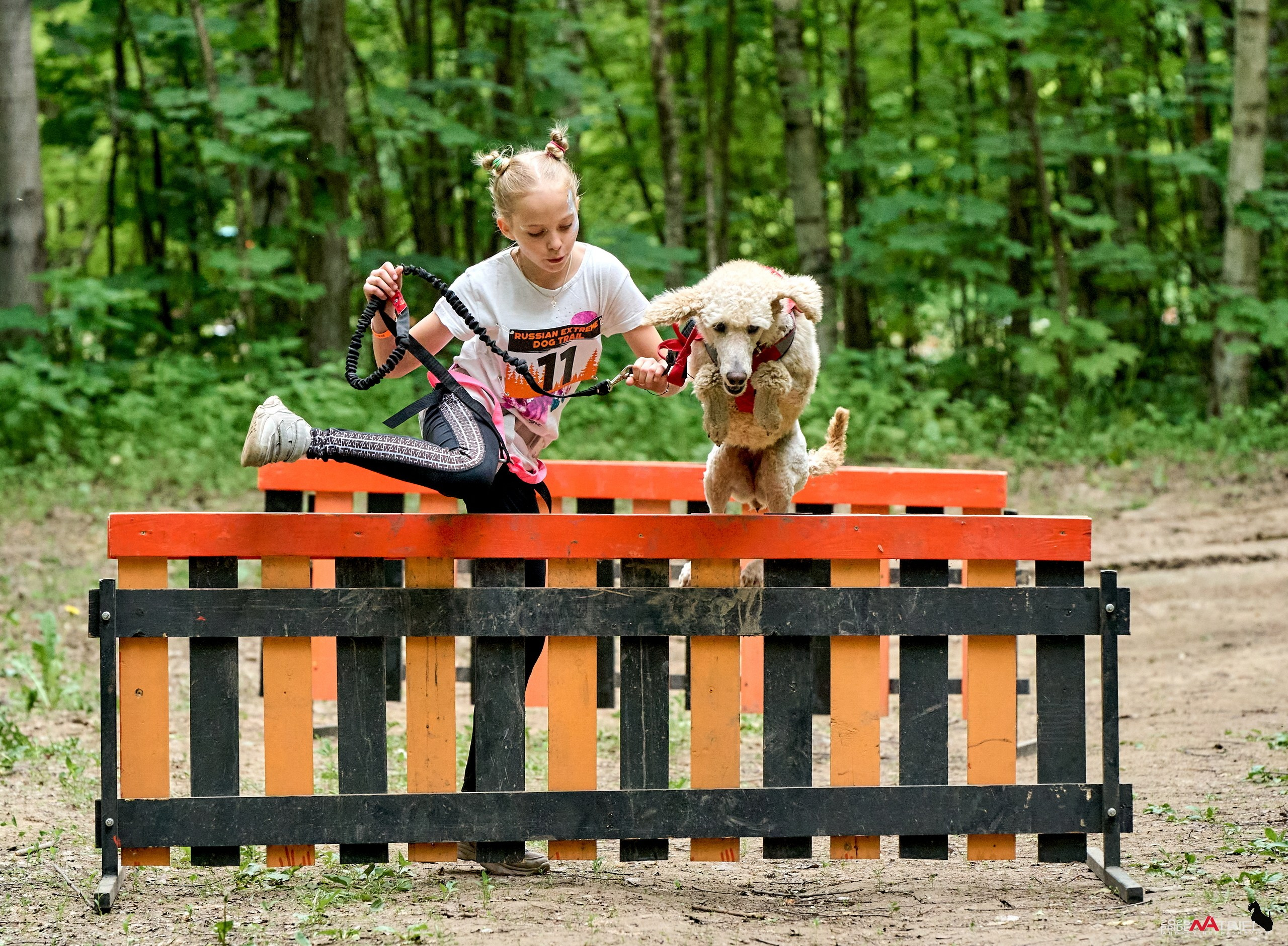 Russian Extreme Dog Trail — 2025