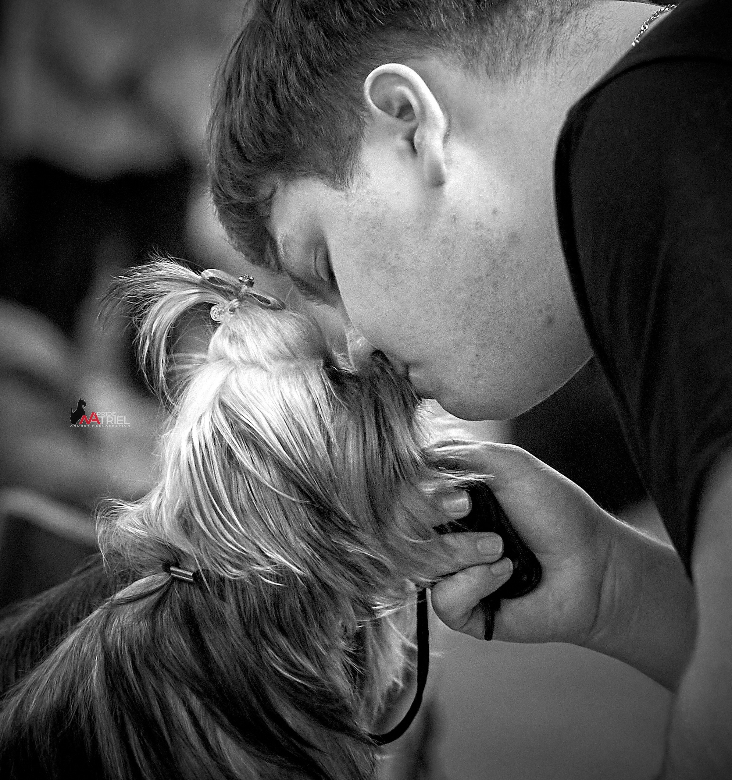 Собаки и Люди — галерея NATRIEL