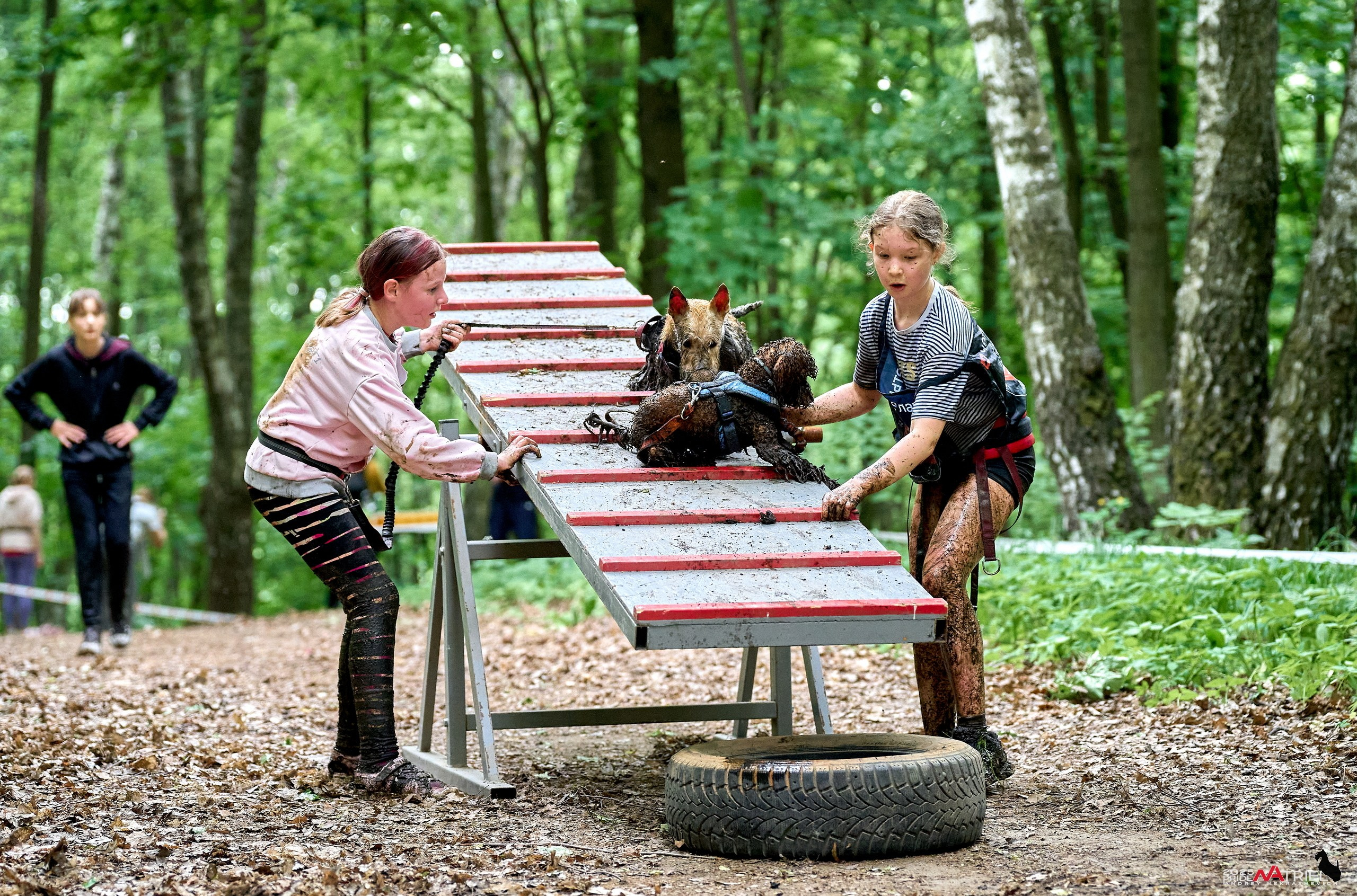 Russian Extreme Dog Trail — 2025