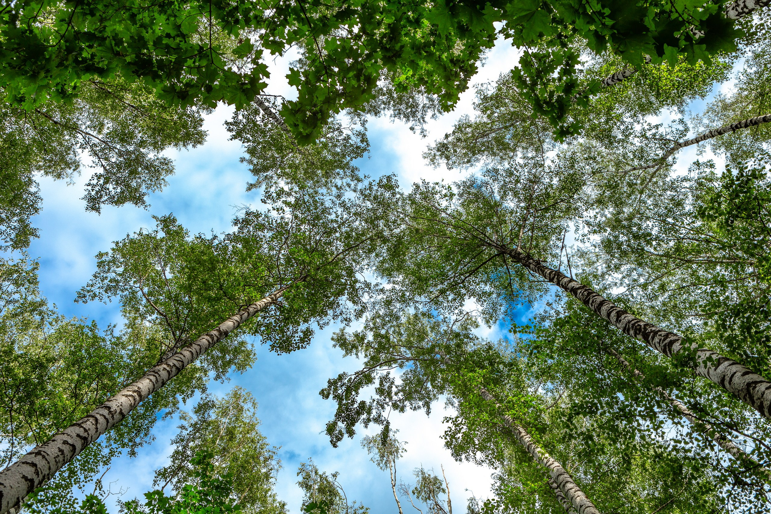 Пейзаж — галерея NATRIEL