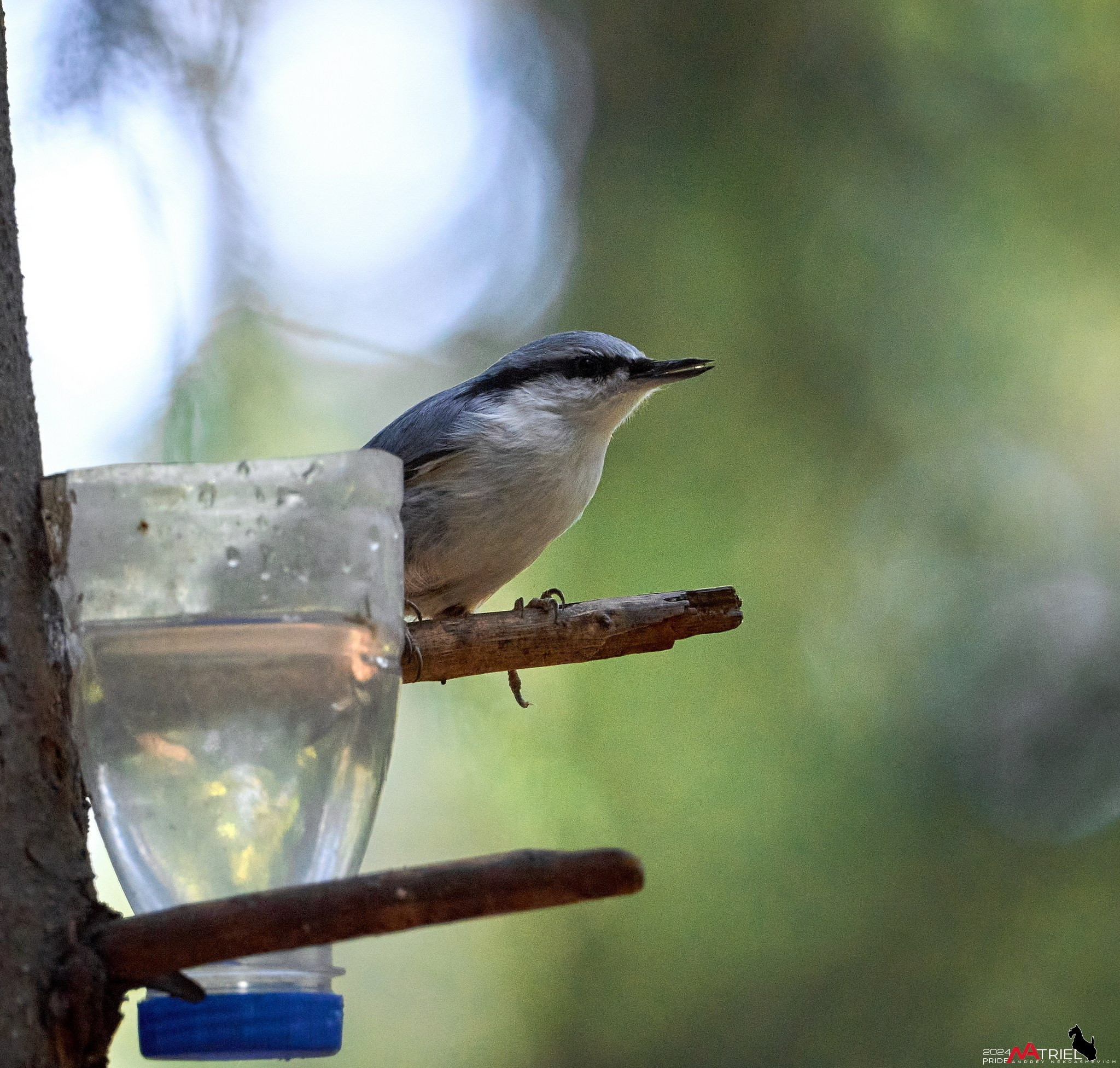 Фотопрогулка на природе