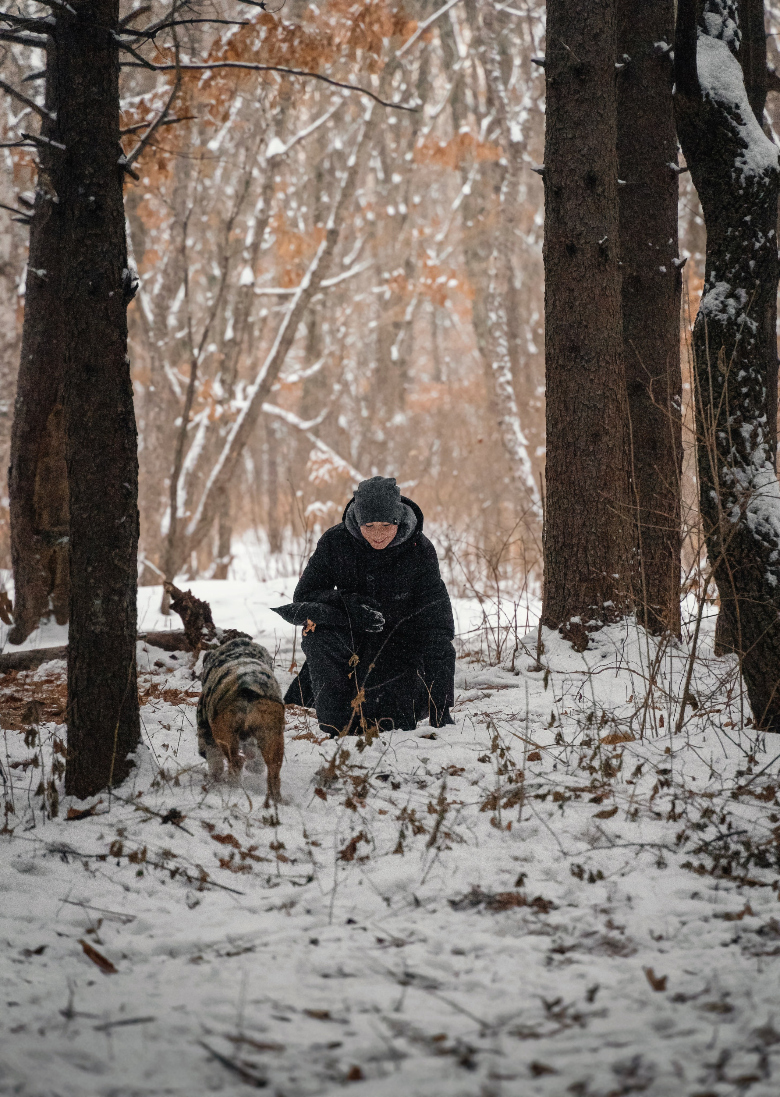 Зимняя история. Семейный фотограф анималист г. Находка