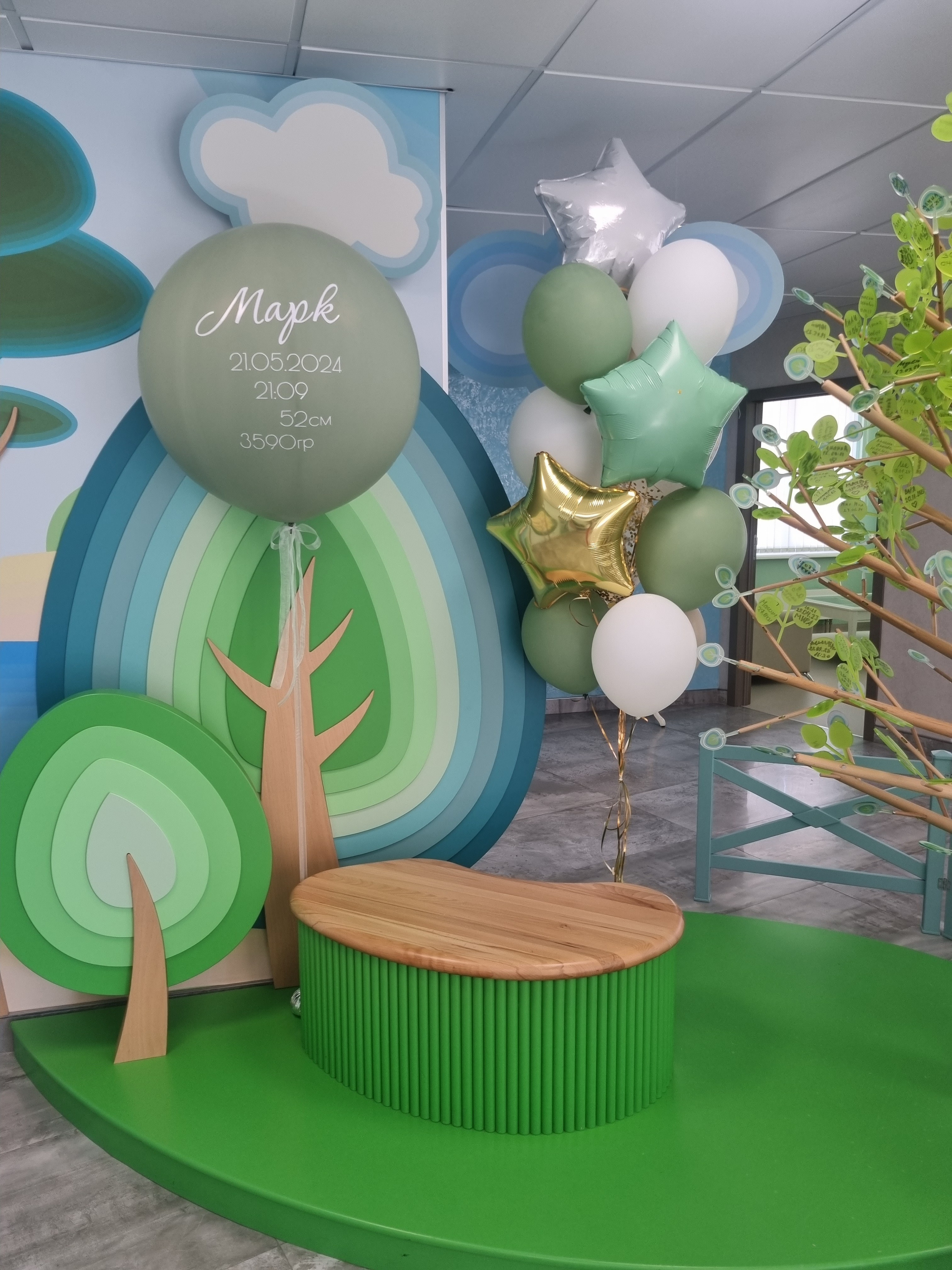 Фотограф в роддоме Сестрорецком г. Санкт-Петербург Банасиковская Ксения