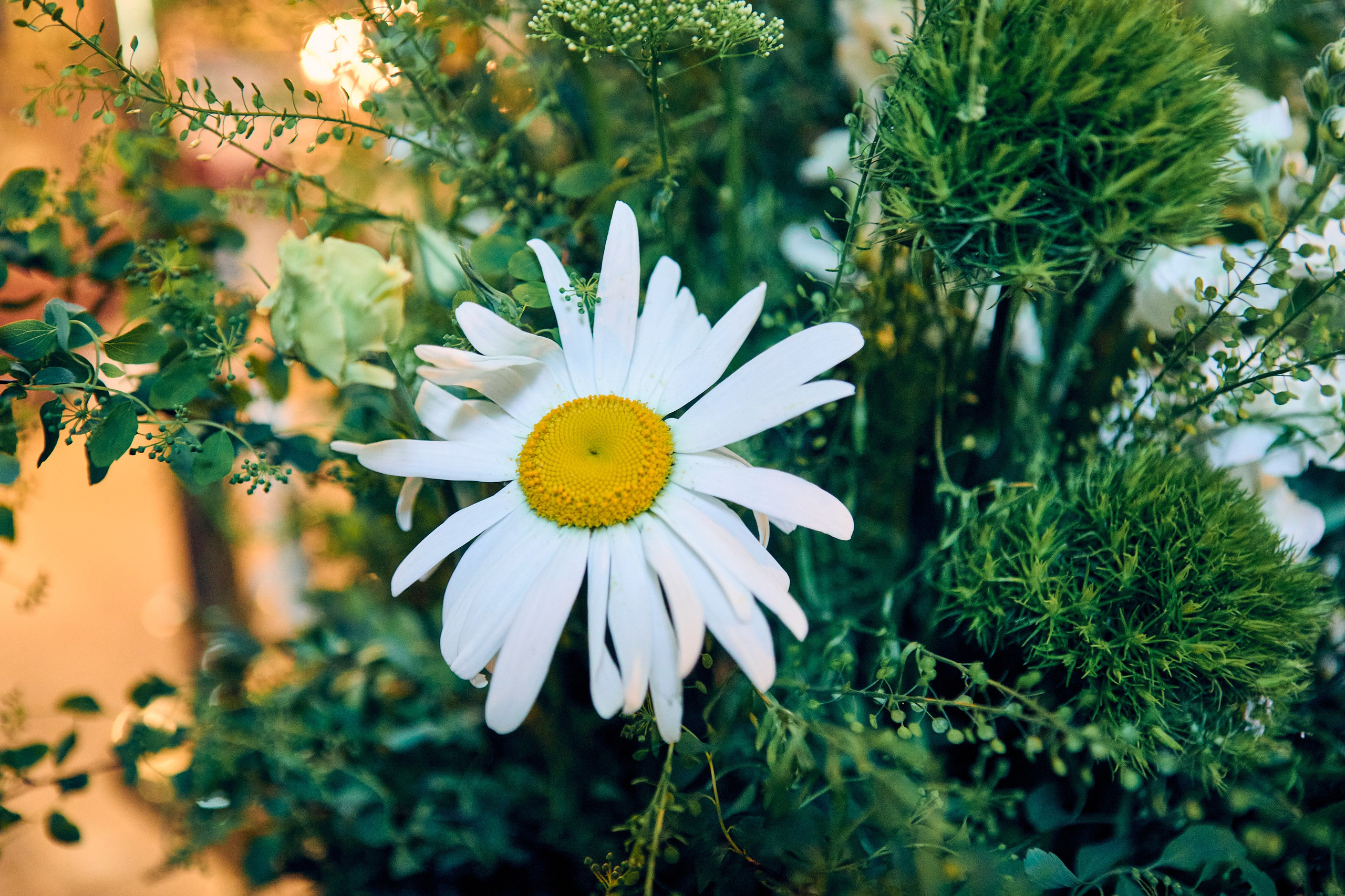 Утреня. Погребение Спасителя. DMITRY MOISEENKO — фотограф, художник, топ-стилист