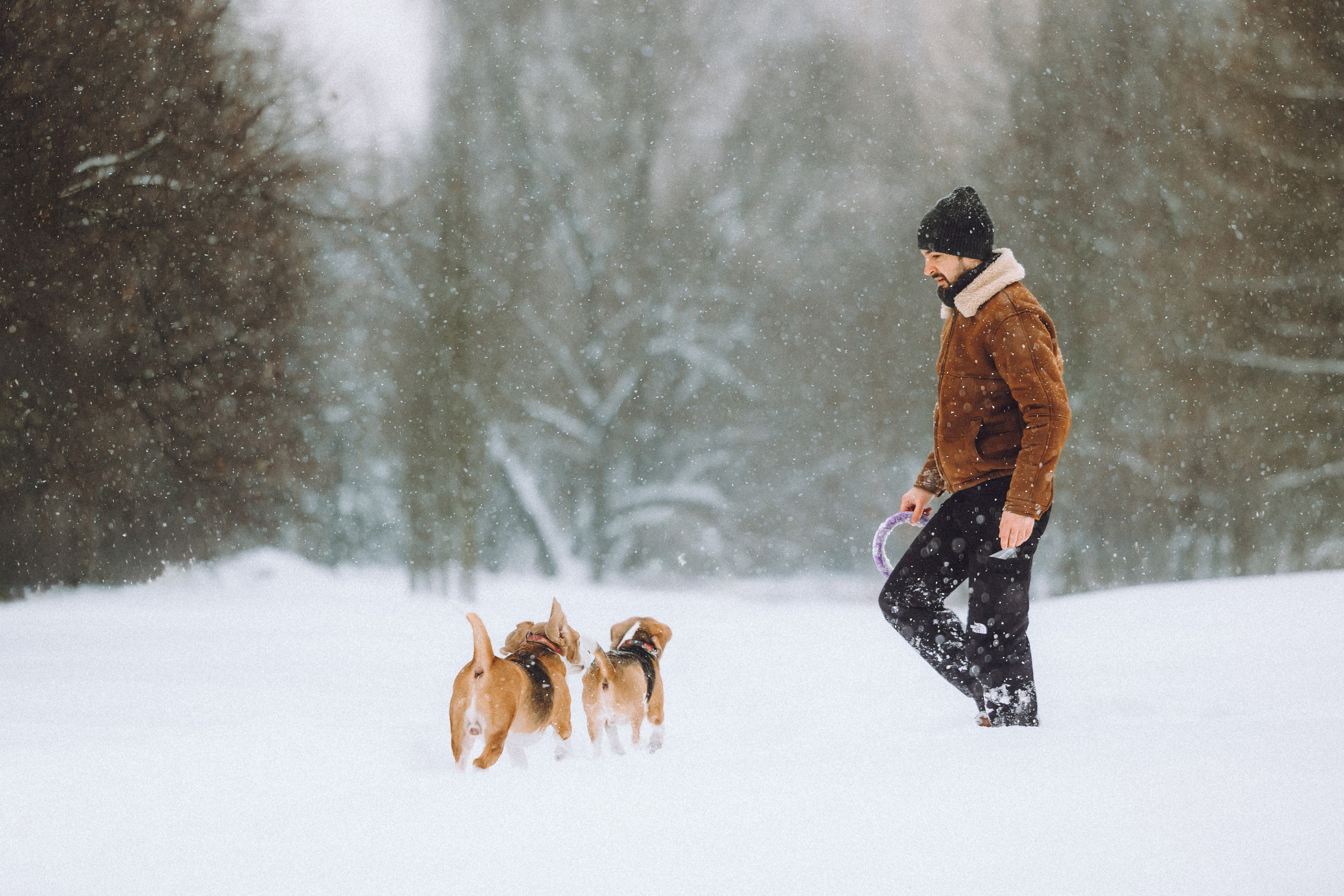 Роман, Портер и Коррес