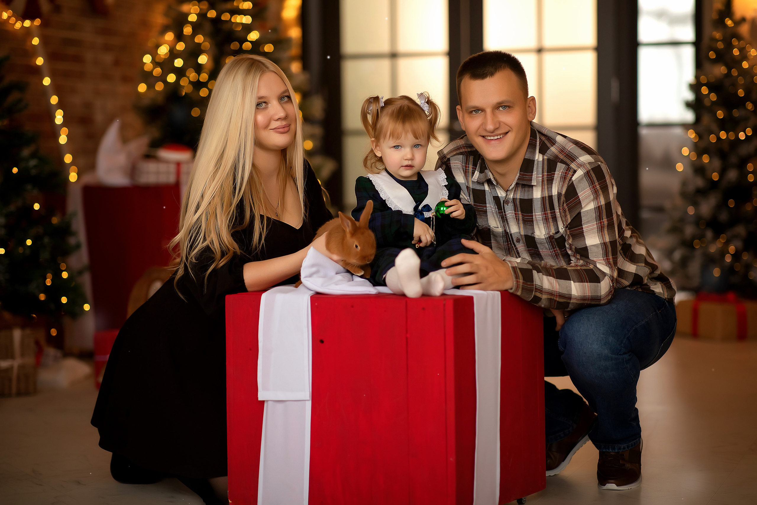 Вика, Алексей, Машуля. Фотограф на крещение и венчание