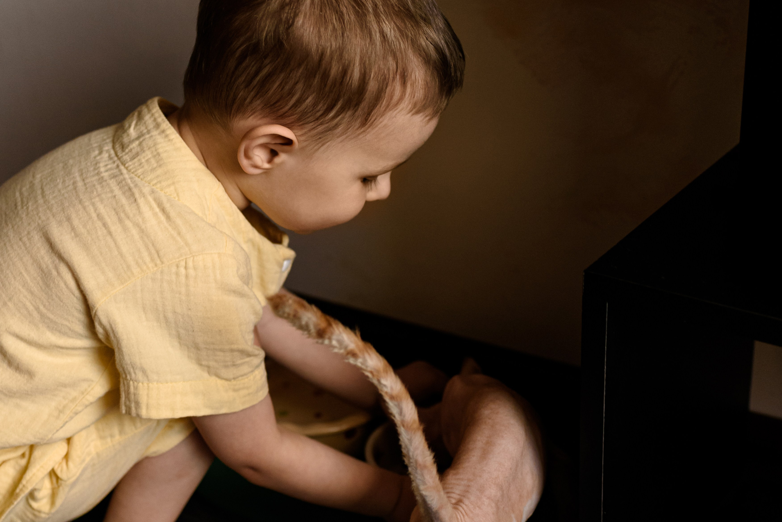 Kseniya & Damir. Семейный, Свадебный фотограф СПБ Питер— Романова Екатерина