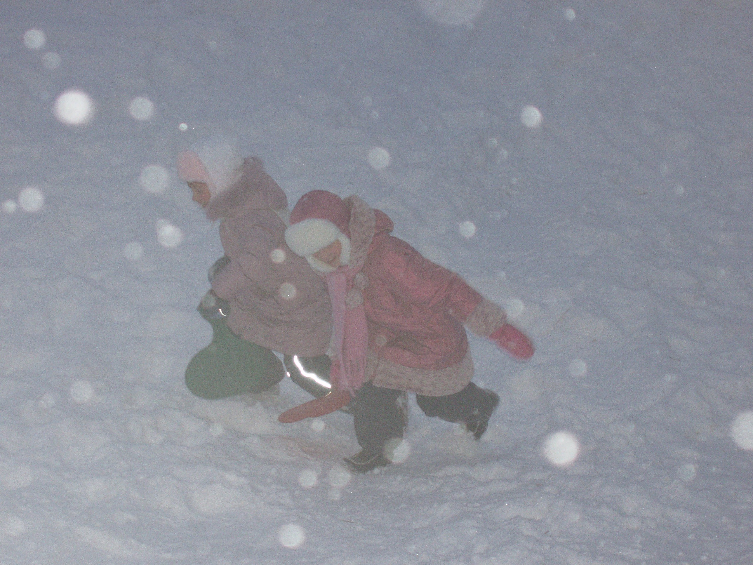 07.12.2008 Гуляем. Семейный, Свадебный фотограф СПБ Питер— Романова Екатерина