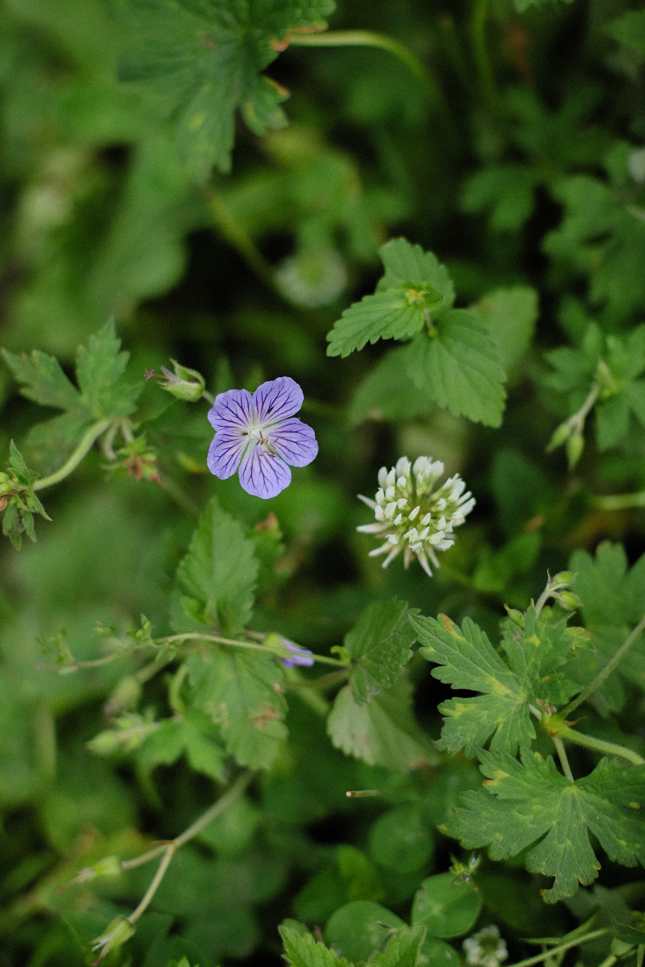 В горах. Фотограф в Алматы и Москве Даша Пушкина