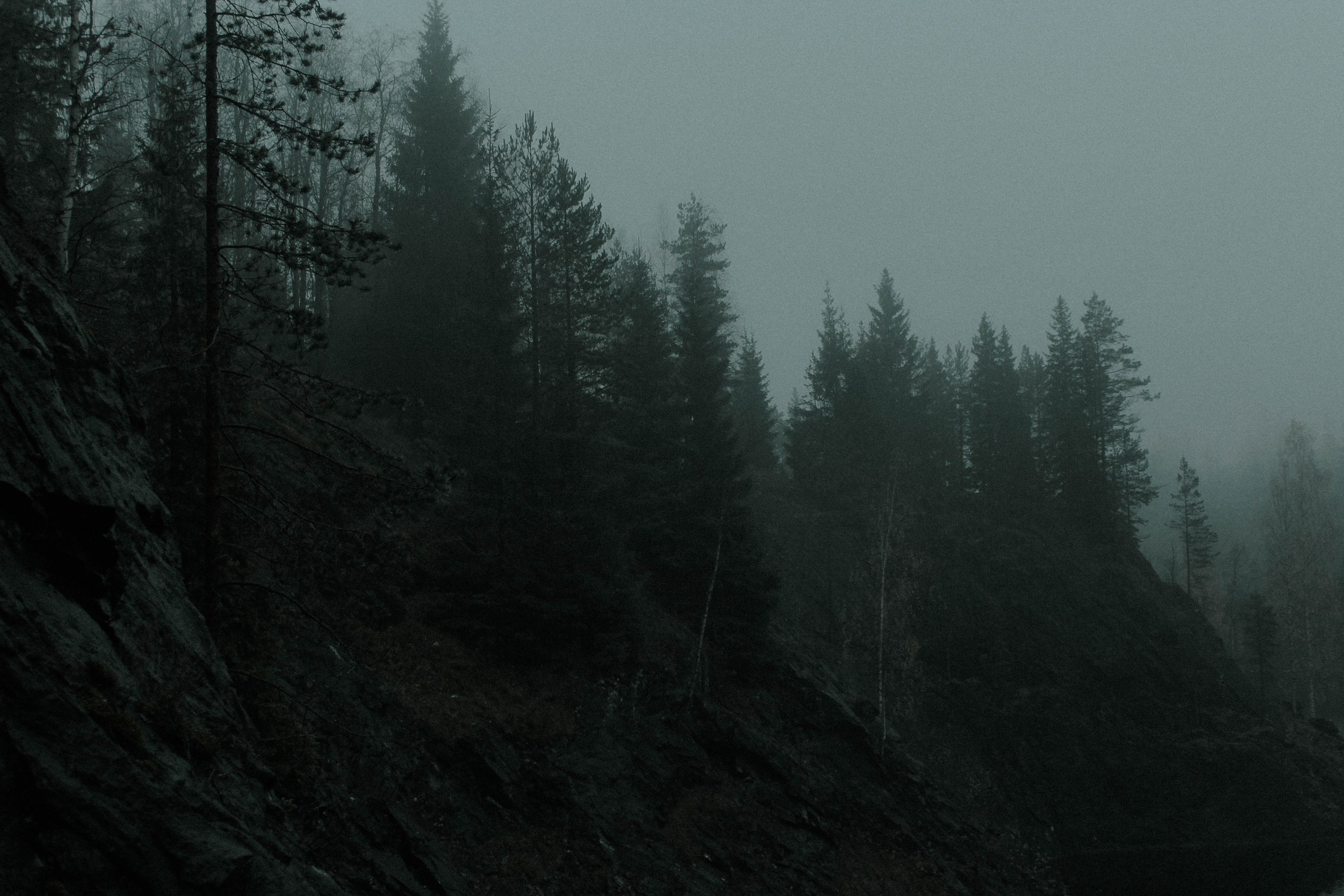 Ольга Венгель. Фотограф, режиссёр, художник Аполлинария Лиманская