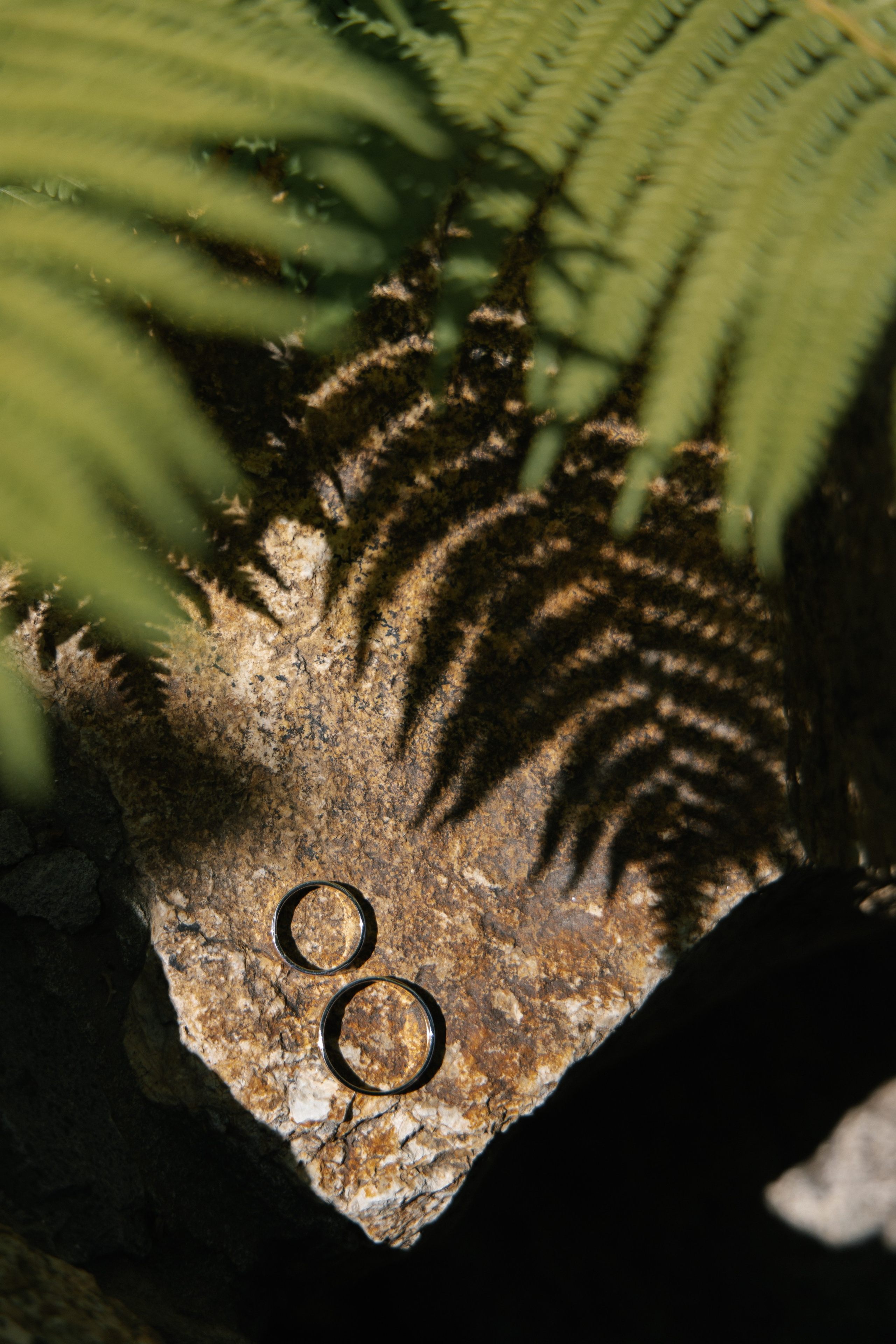 Алёна и Денис (полный день). Фотограф в Барнауле Юлия Садвокасова