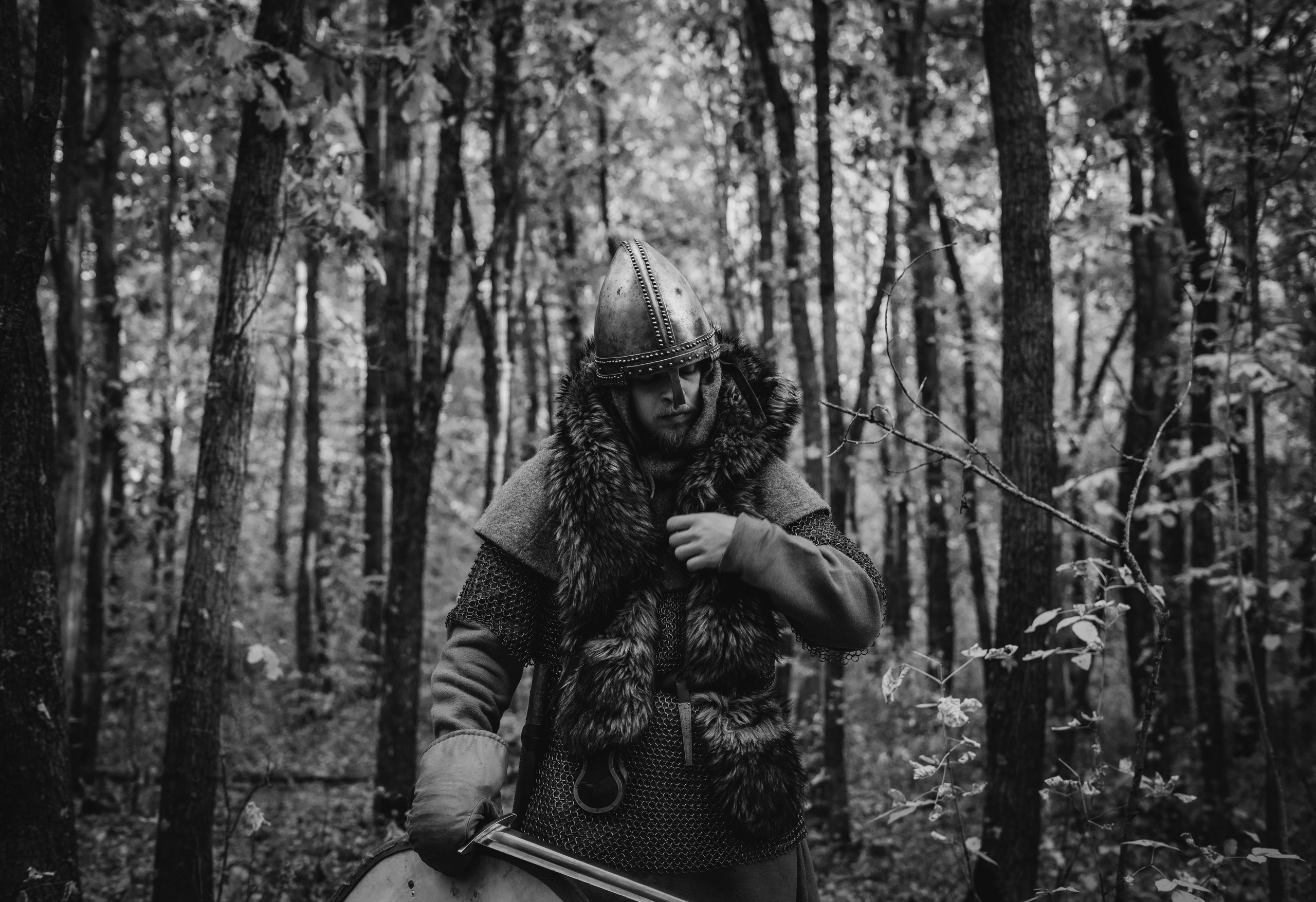 Викинг. Ab extra