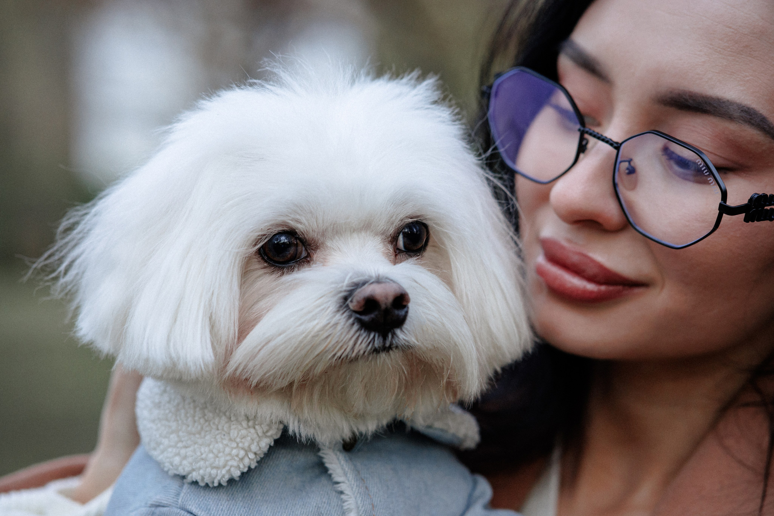 Алёна и Мирон. Фотограф в Санкт-Петербурге Алёна Губинская