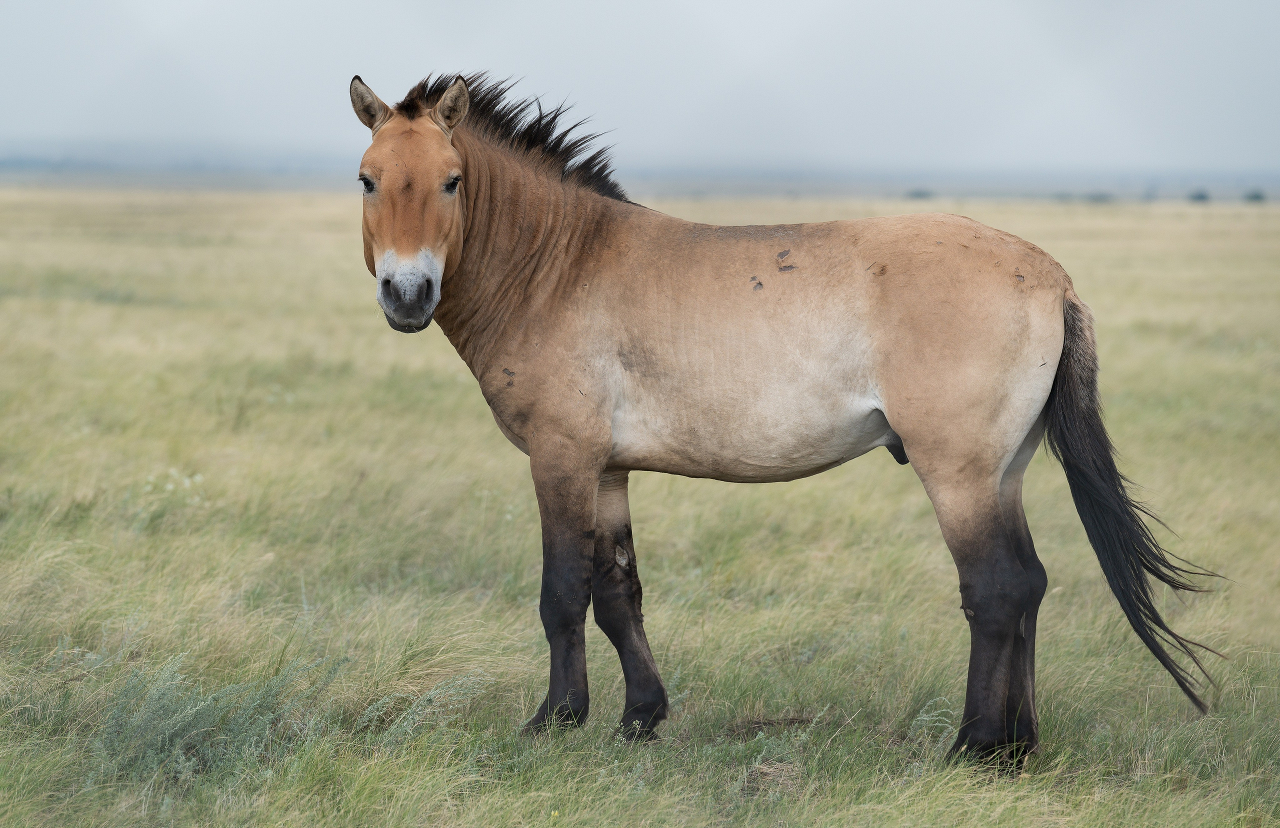 Оренбуржье. Портретный фотограф в Челябинске Катерина Руди