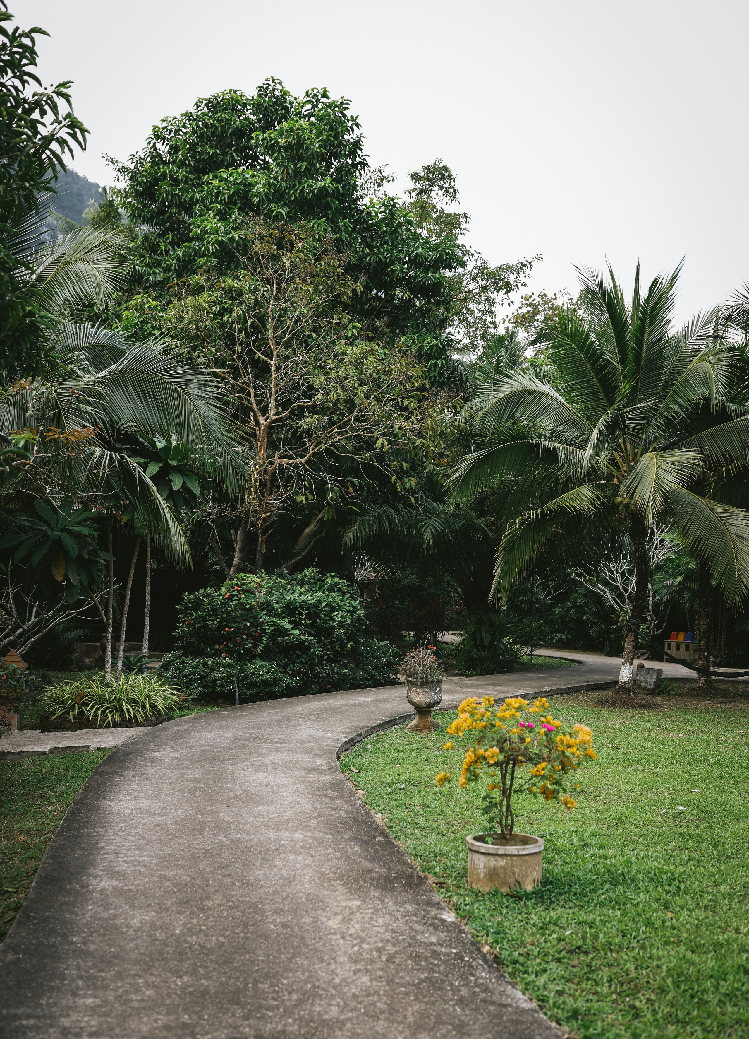 Thailand / Ban Sainai Resort. Ekaterina Buneeva Photography