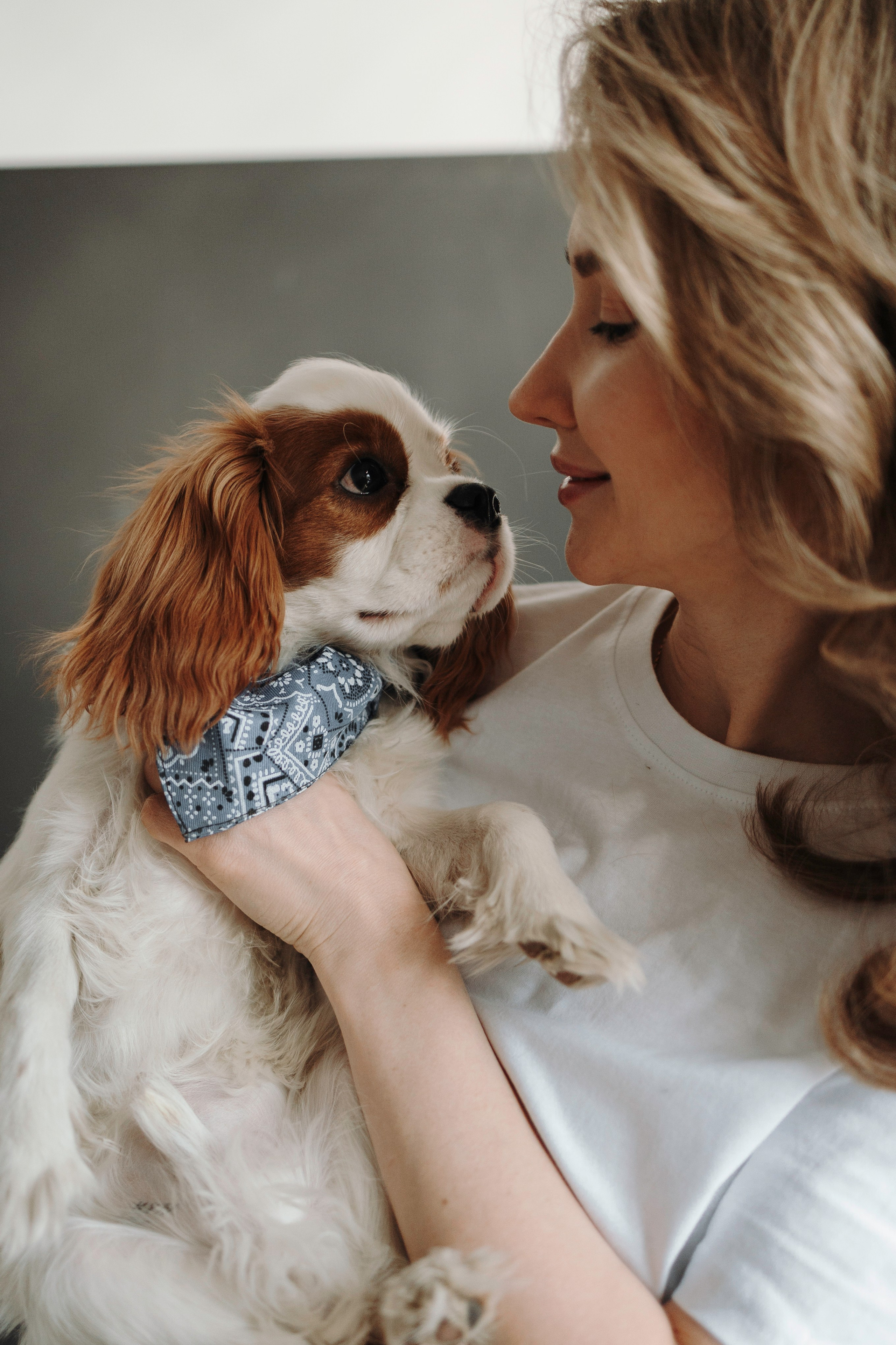 Плуто и его семья. Фотограф — Анималист | Санкт-Петербург