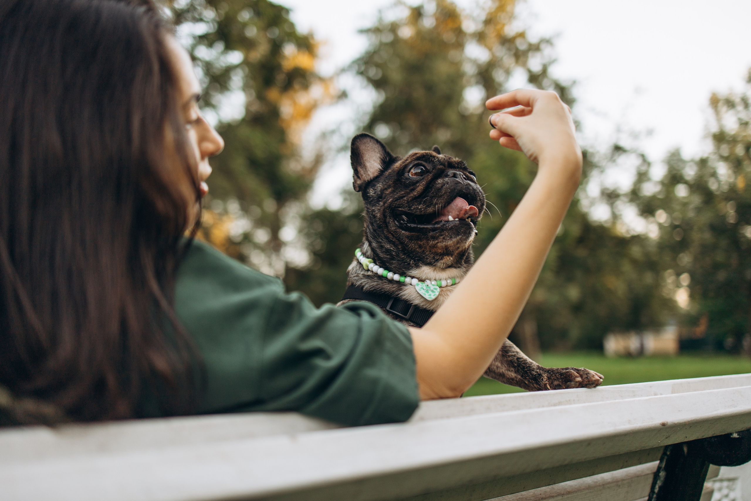 Олеся и Луи. Фотограф — Анималист | Санкт-Петербург