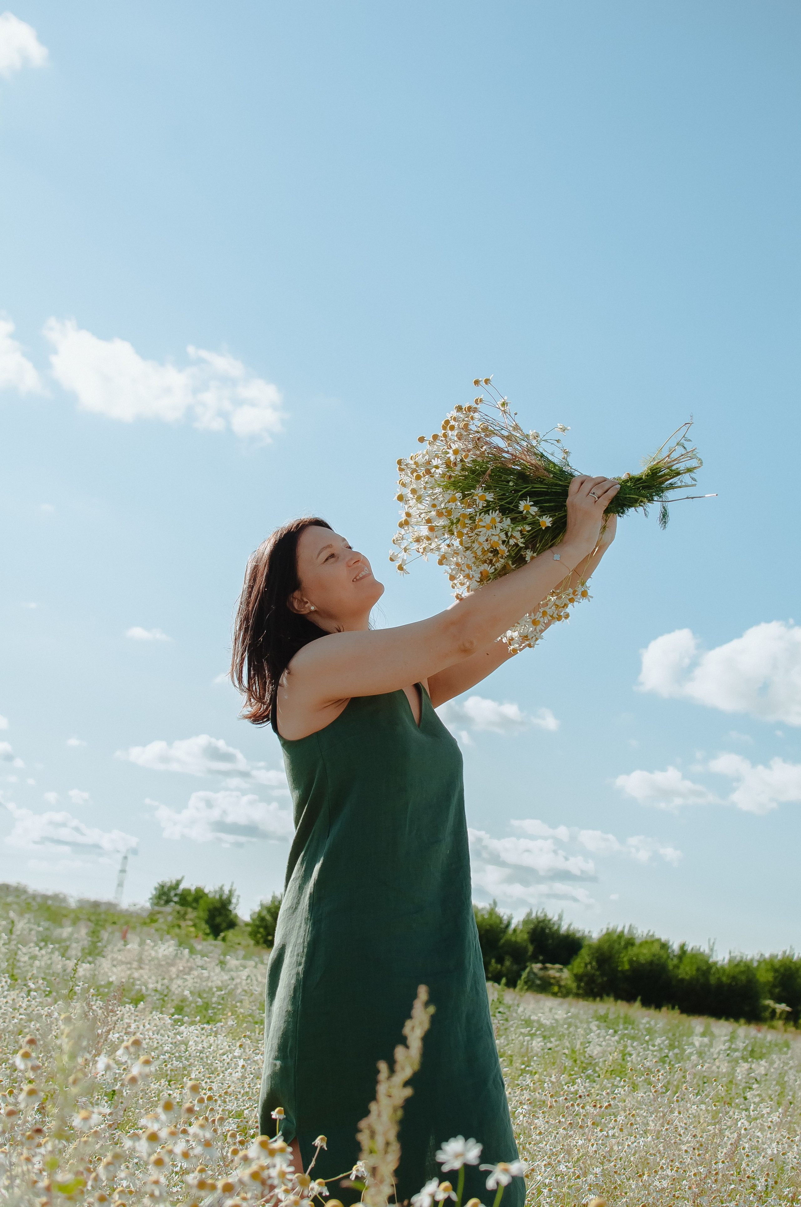 Привет ромашки