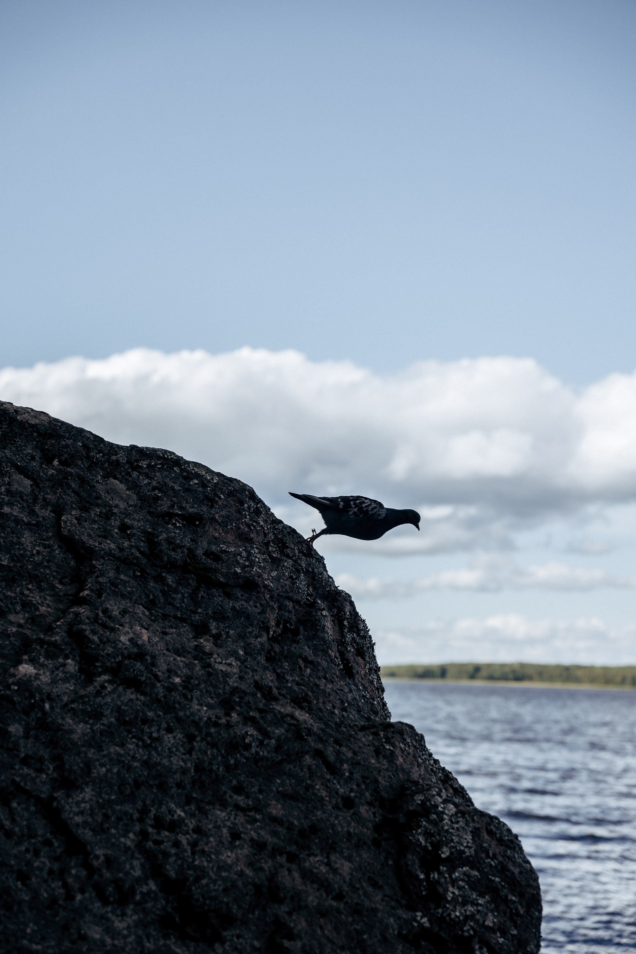 Фотосессия в лесу. Профессиональный фотограф в Санкт-Петербурге Александр Волосенцев