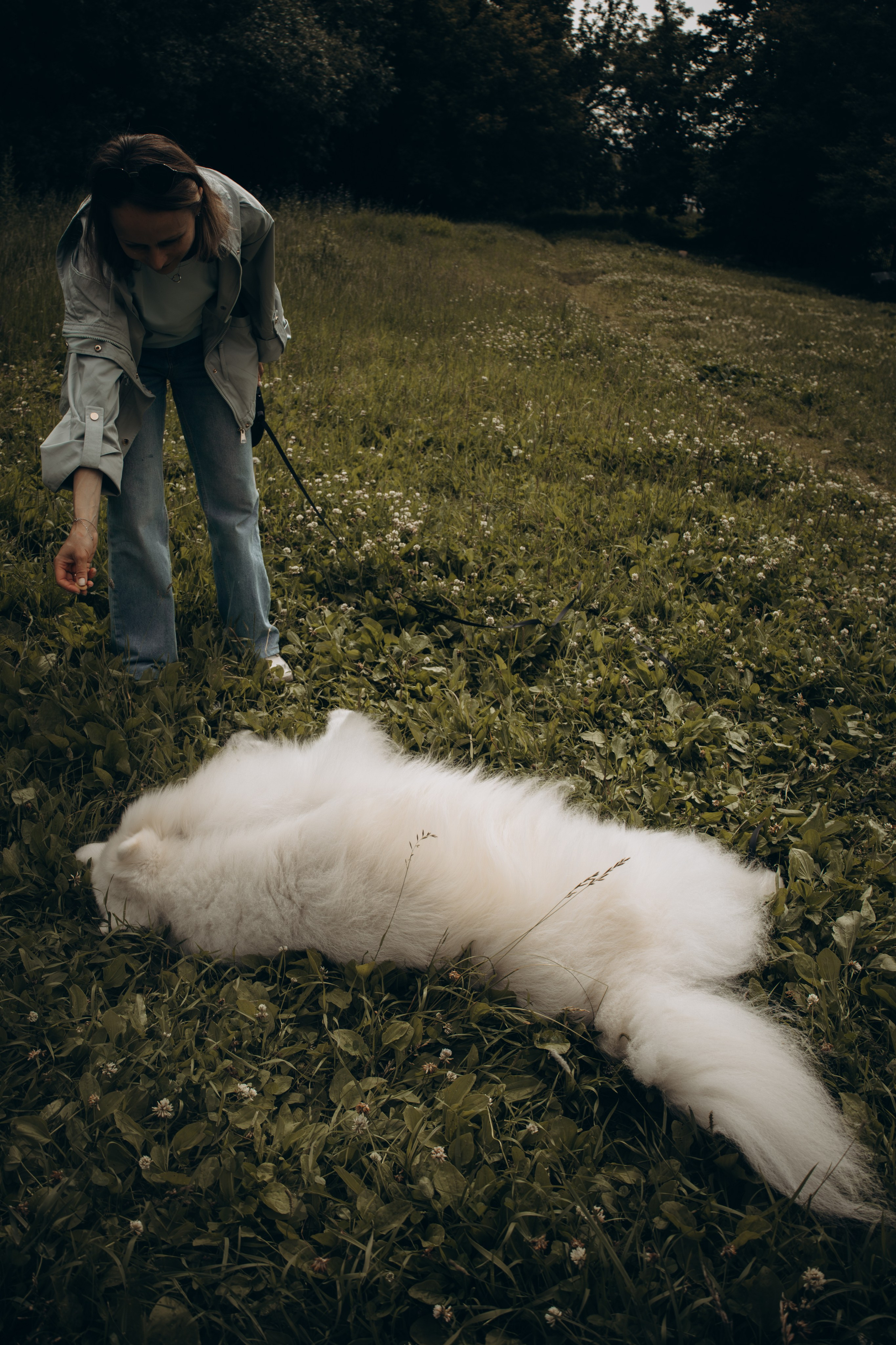 Фотосессия с ребенком и собакой в парке. Фотограф-анималист в Москве Екатерина Тихонова